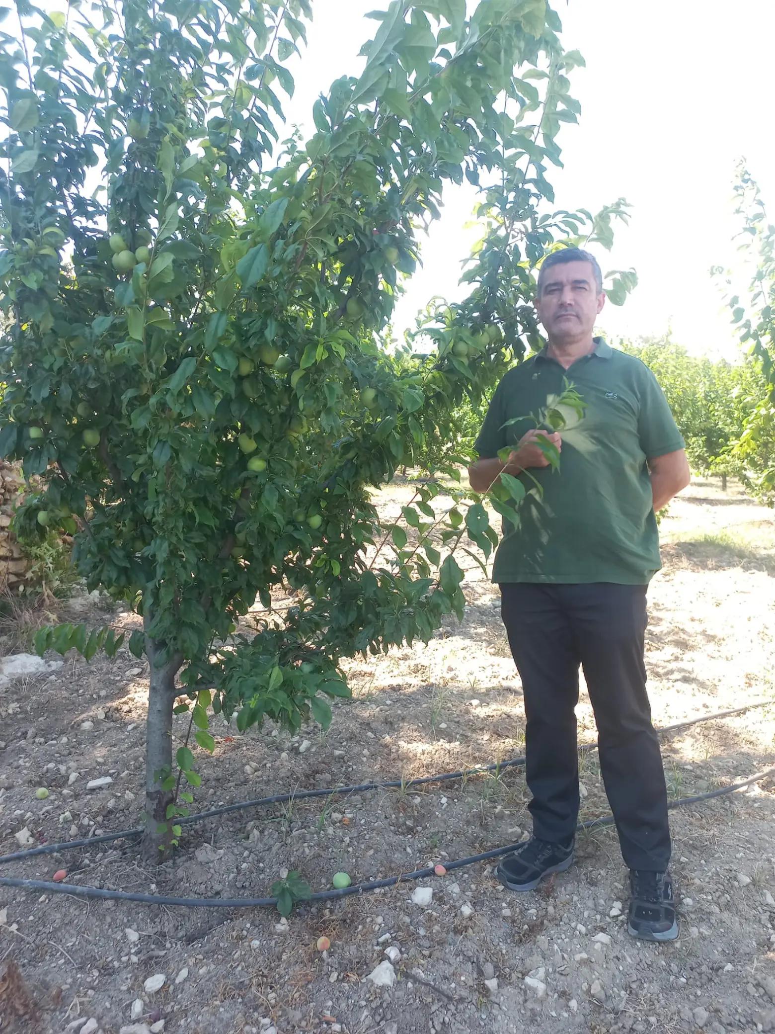 @KANCO HİZOL