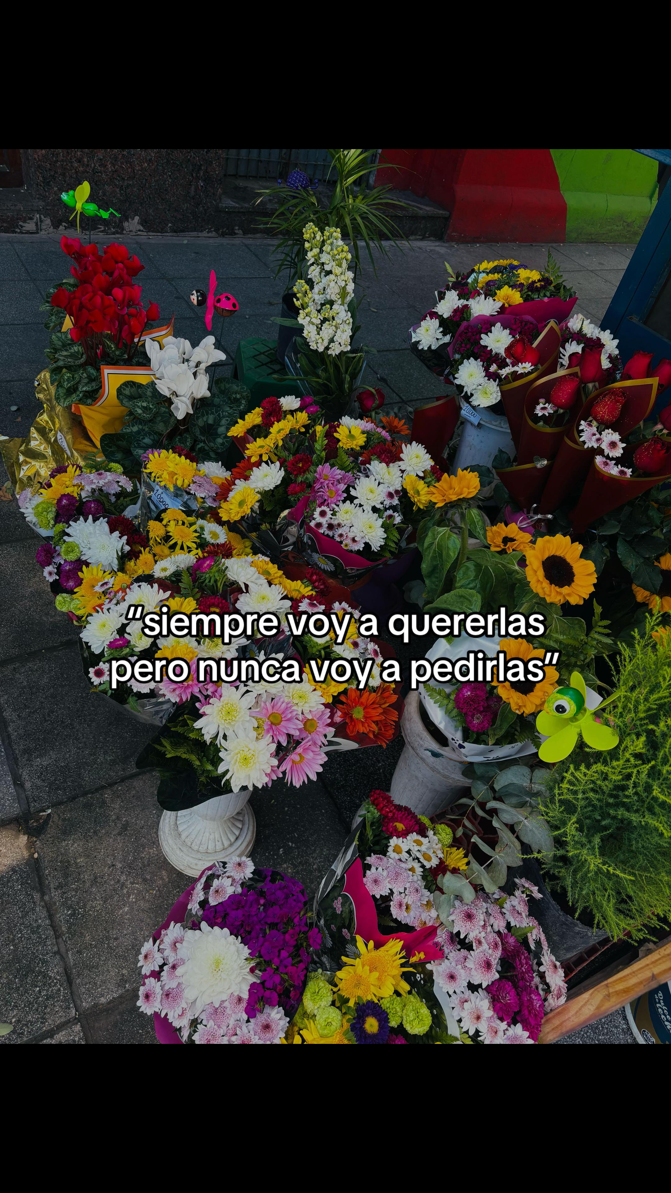 @agustinteamooooo