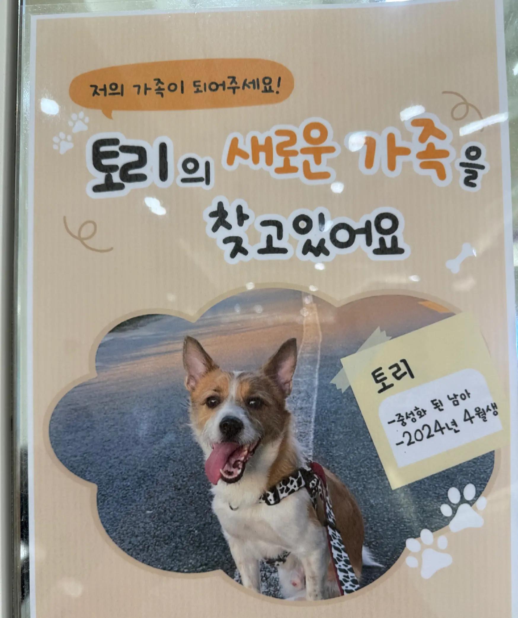 @작은말월리 | 월리플랍🦄