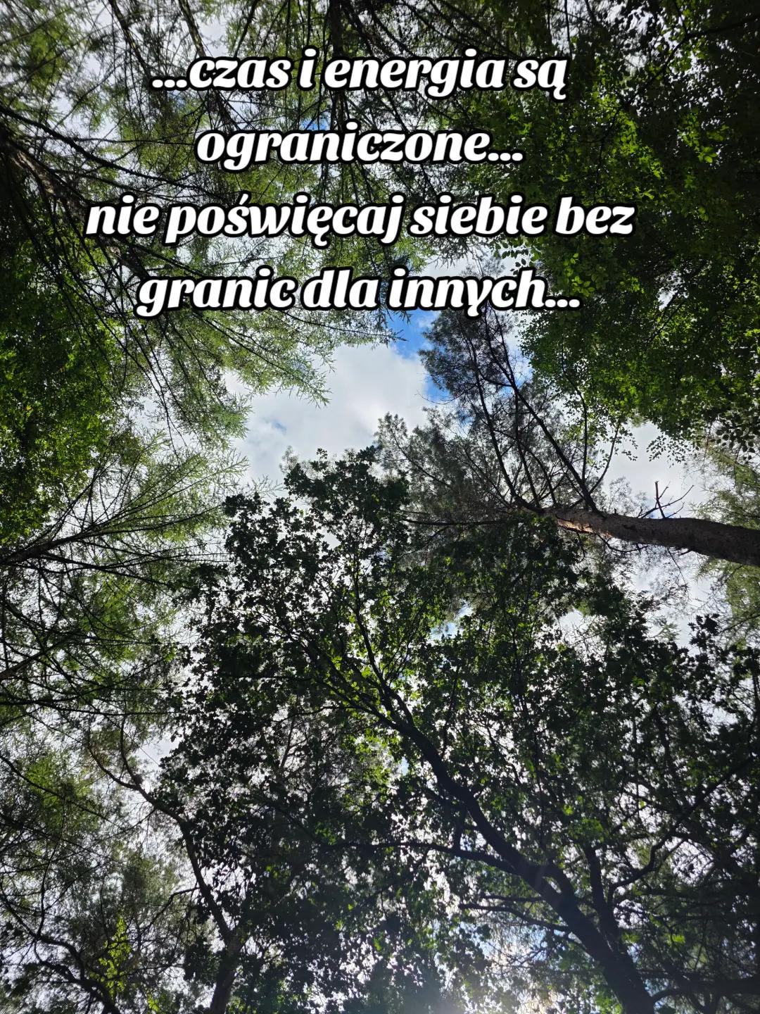 @Madzia Madziula