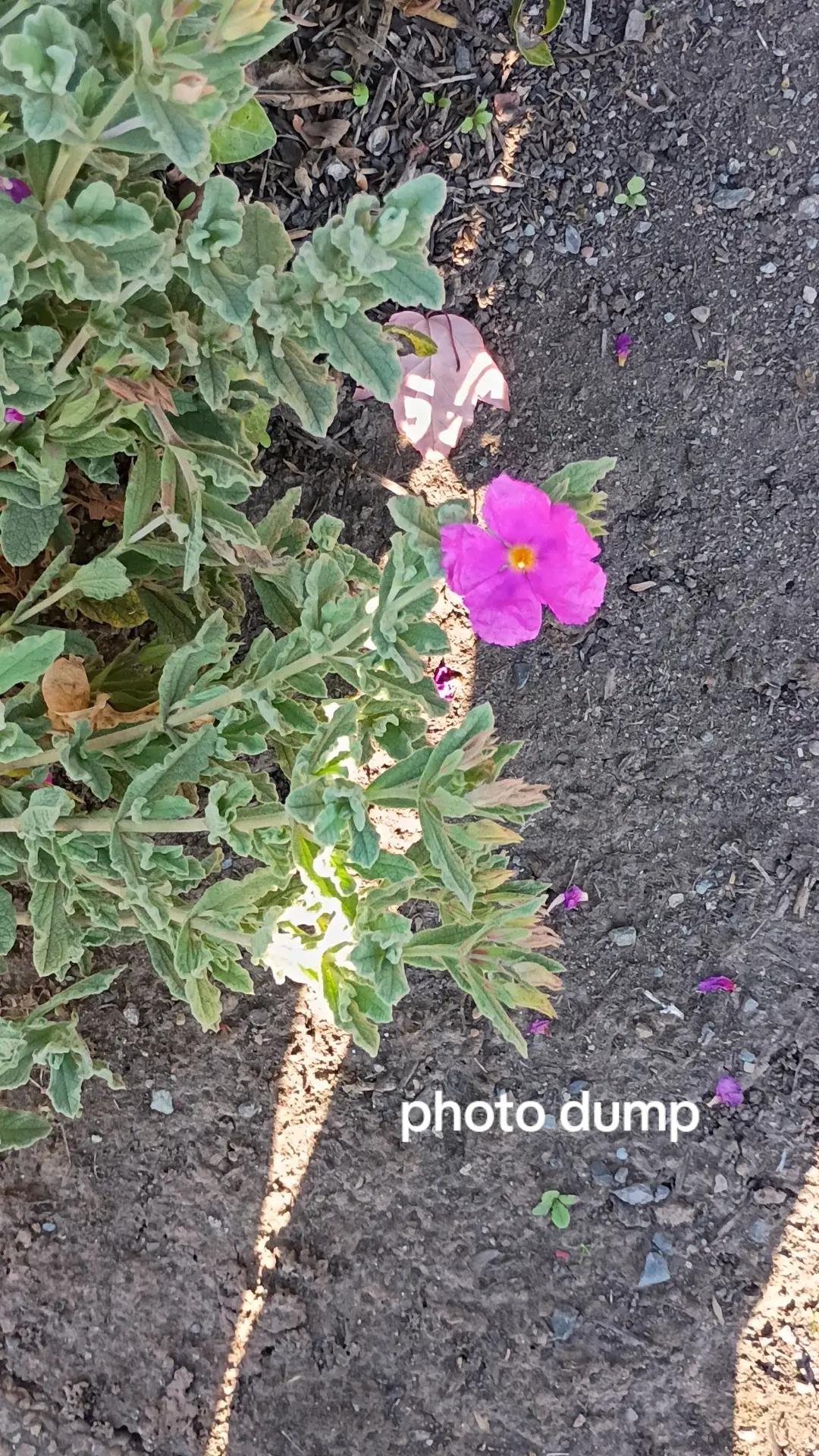 @...