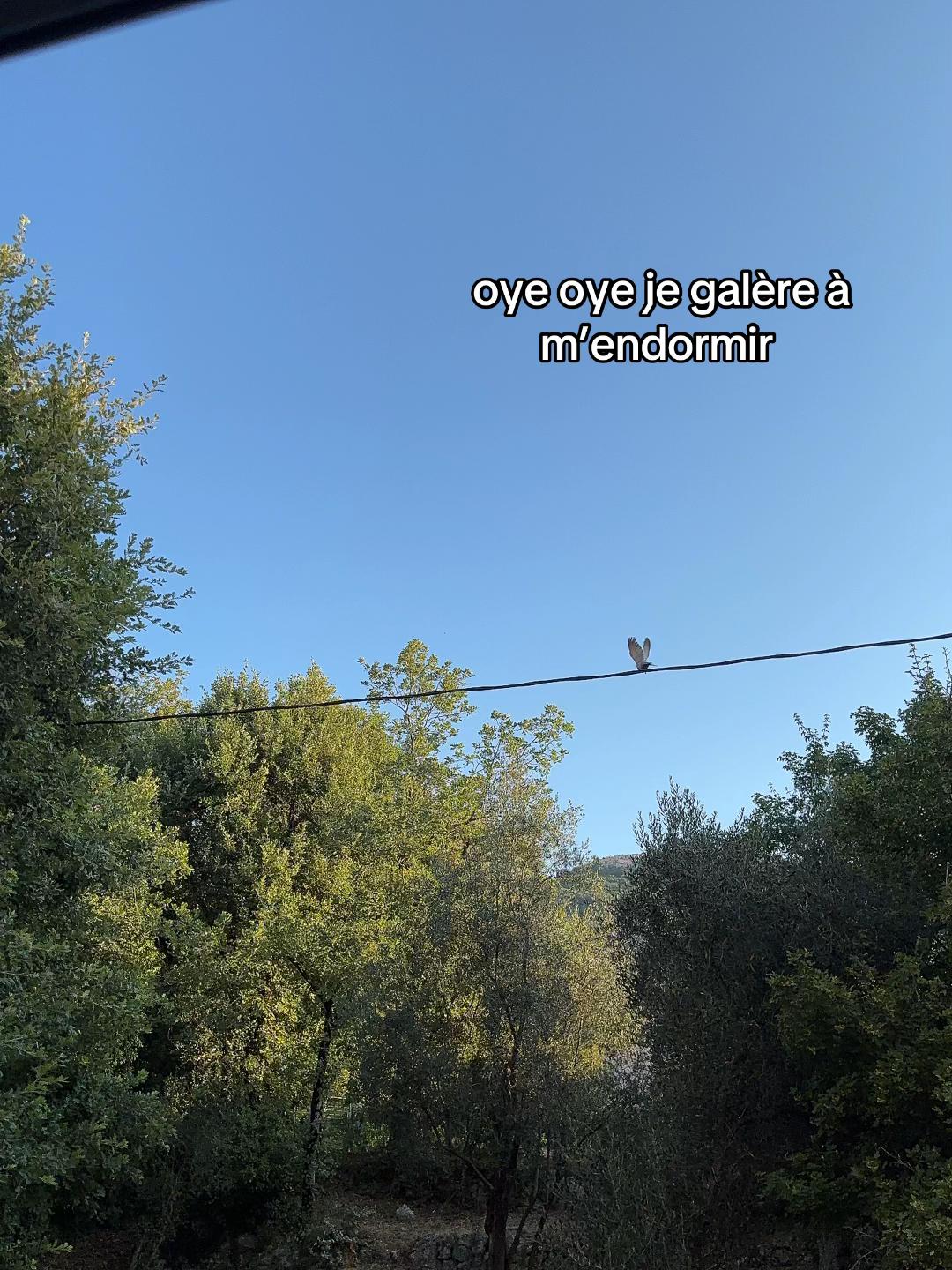 @🥭🇪🇸