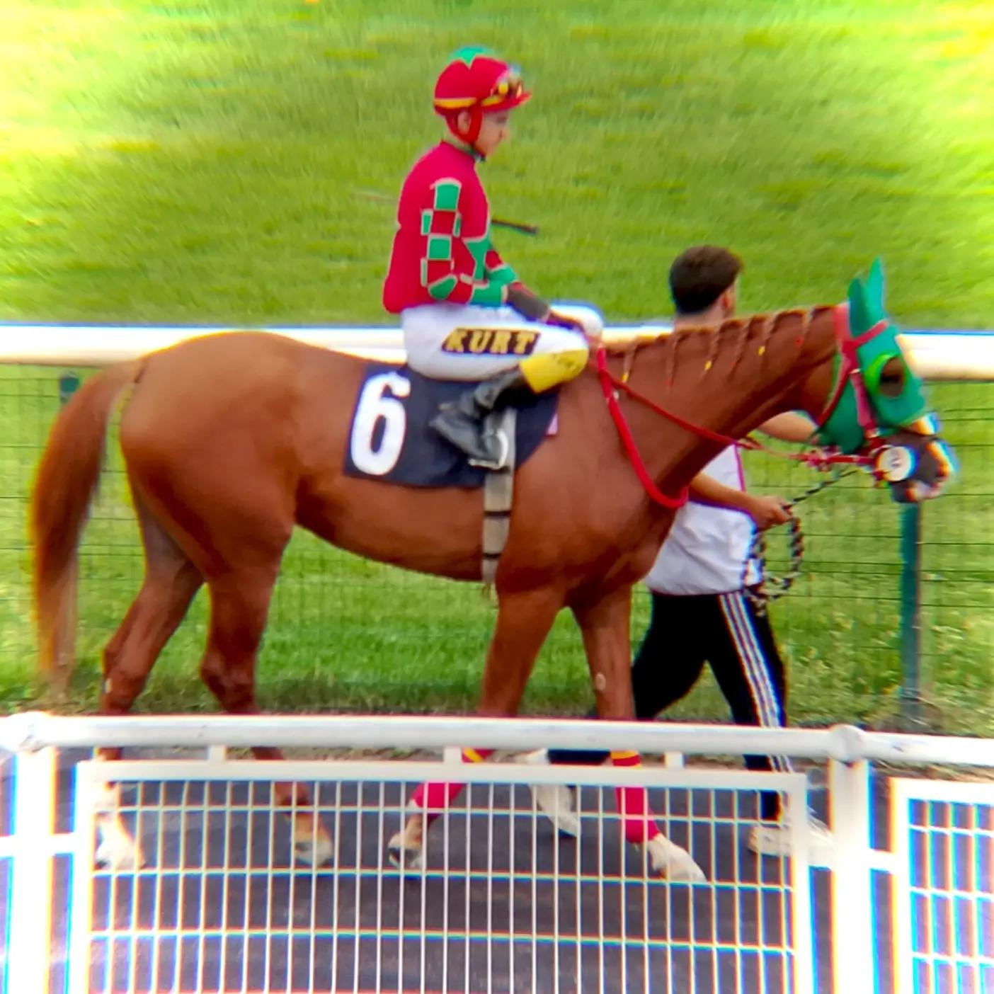 @brs horse racing