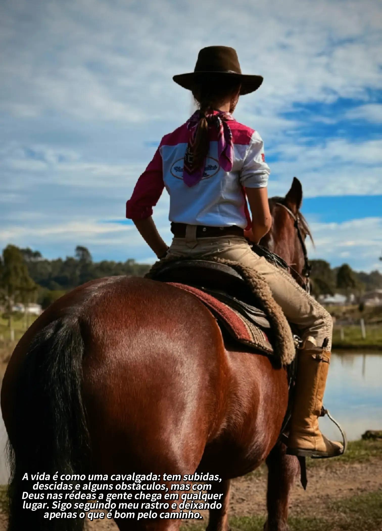 @BOIADEIRA 🐎➰🐄