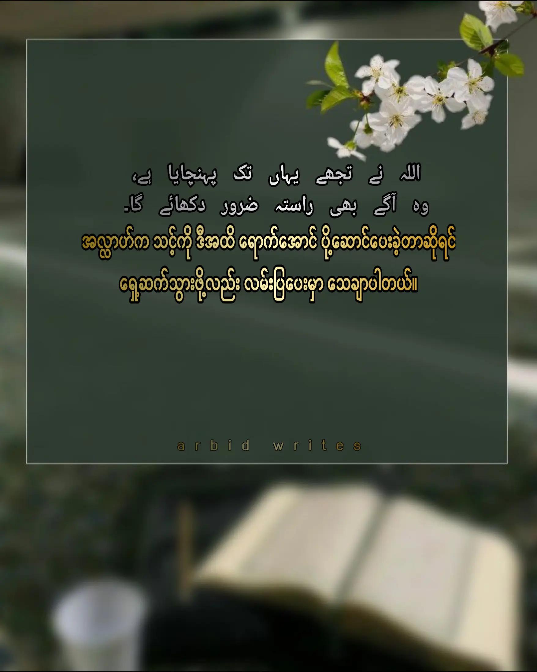 @Arbid Khan