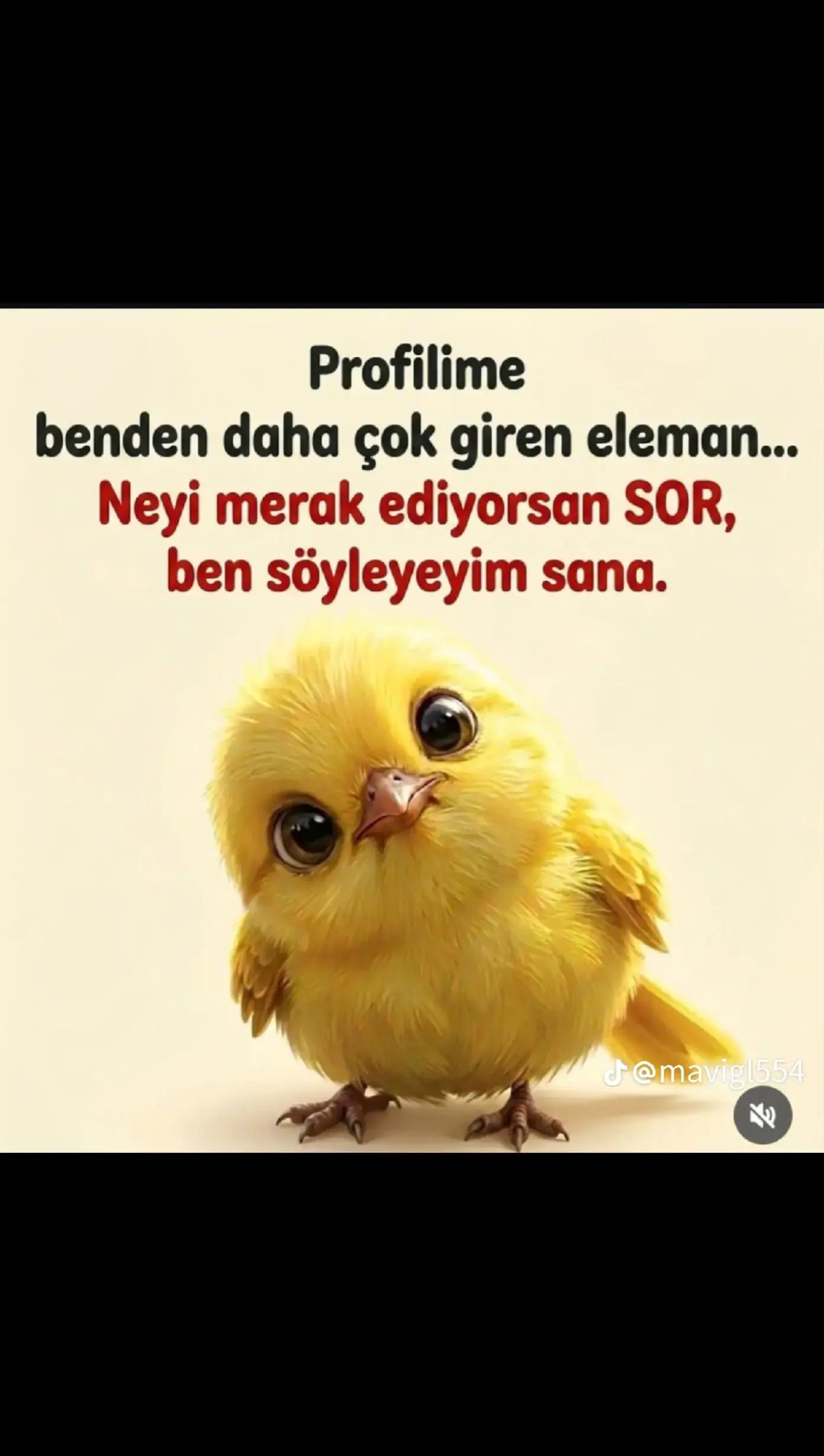 @🇹🇲 LEBAP KİZİ 🇹🇲