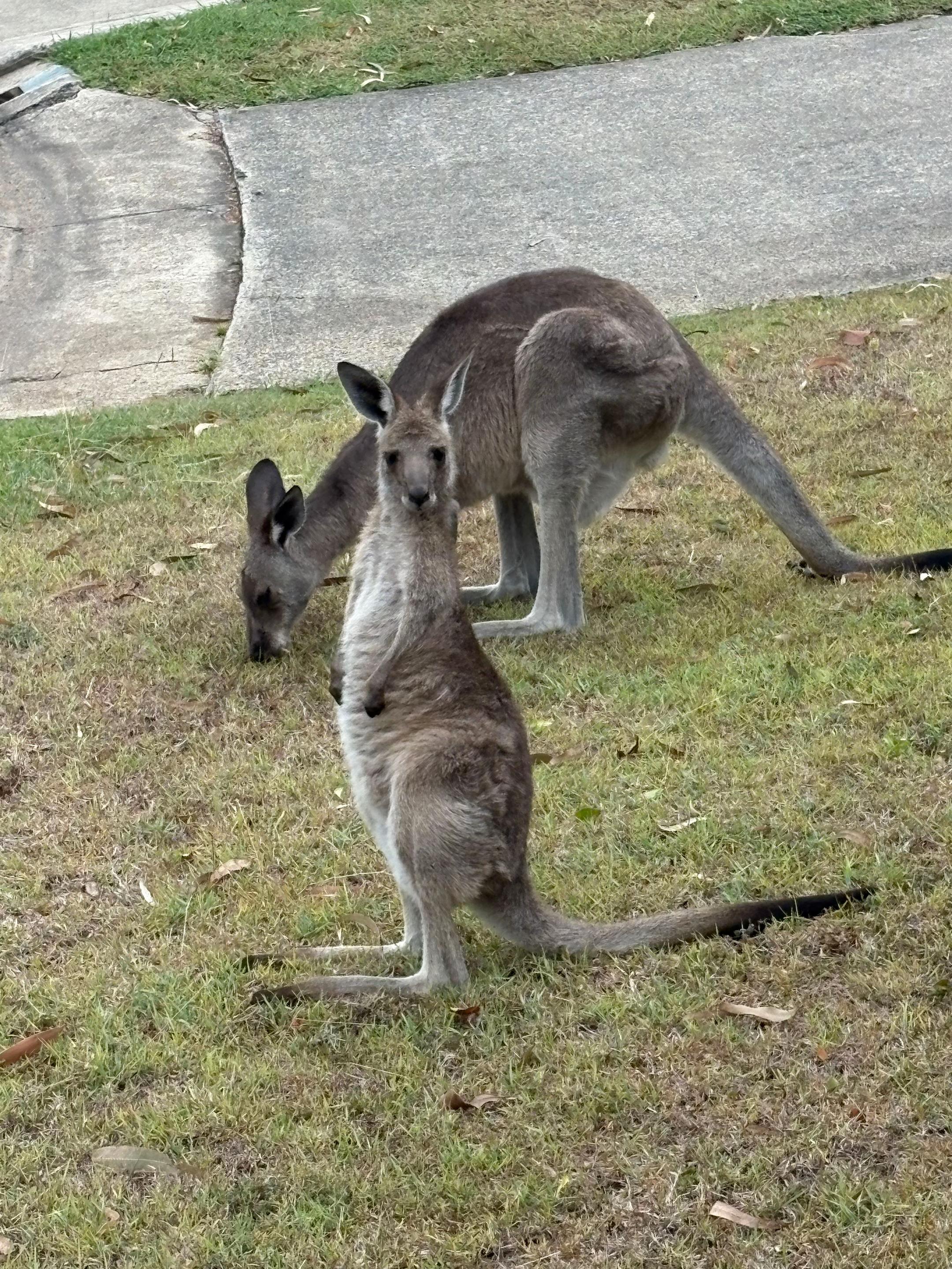 @Nick Roland 🇦🇺