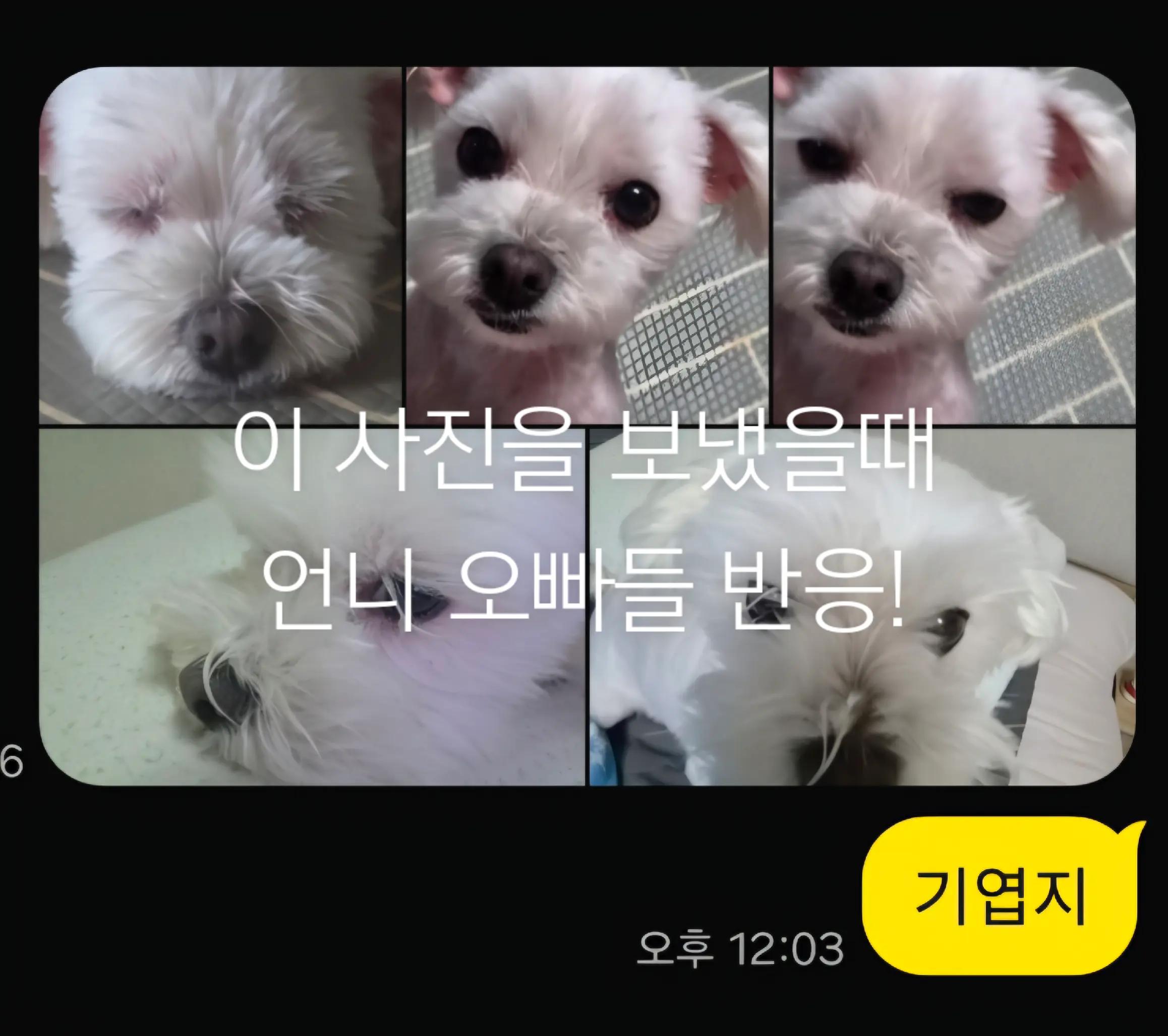 @황수현의 3번째 손톱