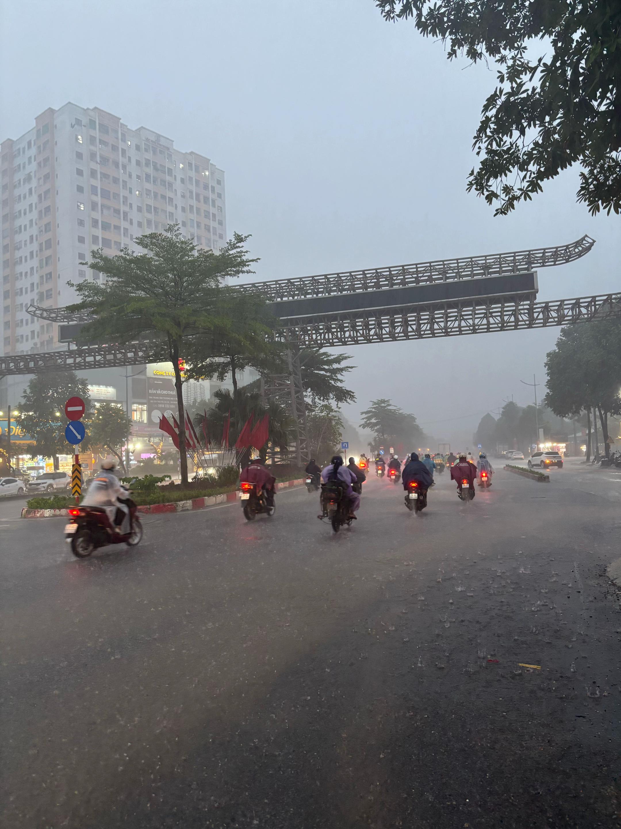 @Nguyen Hai