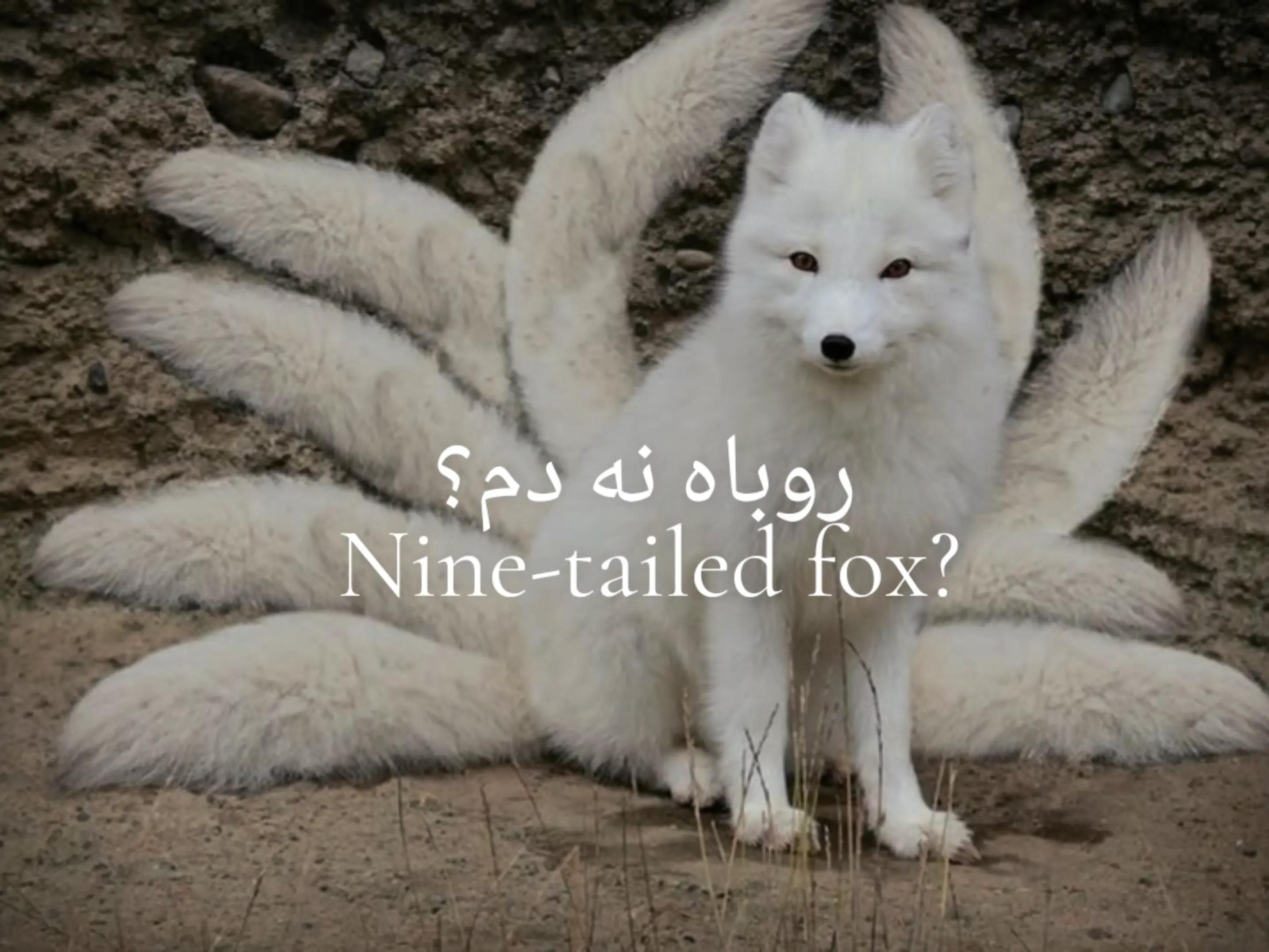 @𝓝𝓲akan☀/سازمان جنایی