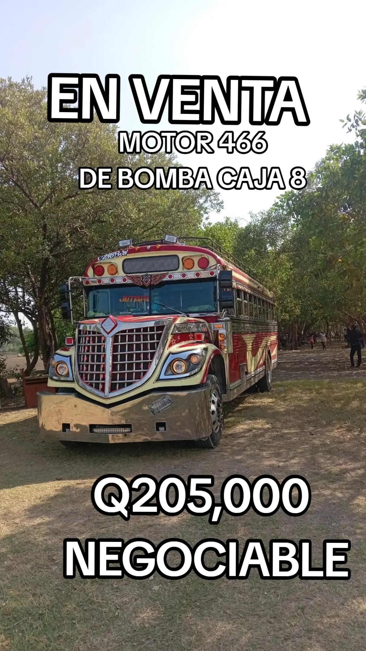 @Buses y Accesorios DG