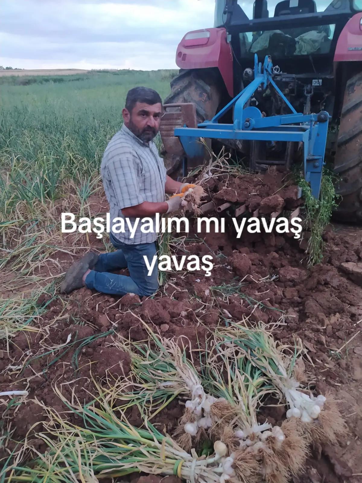 @mustafa Gül