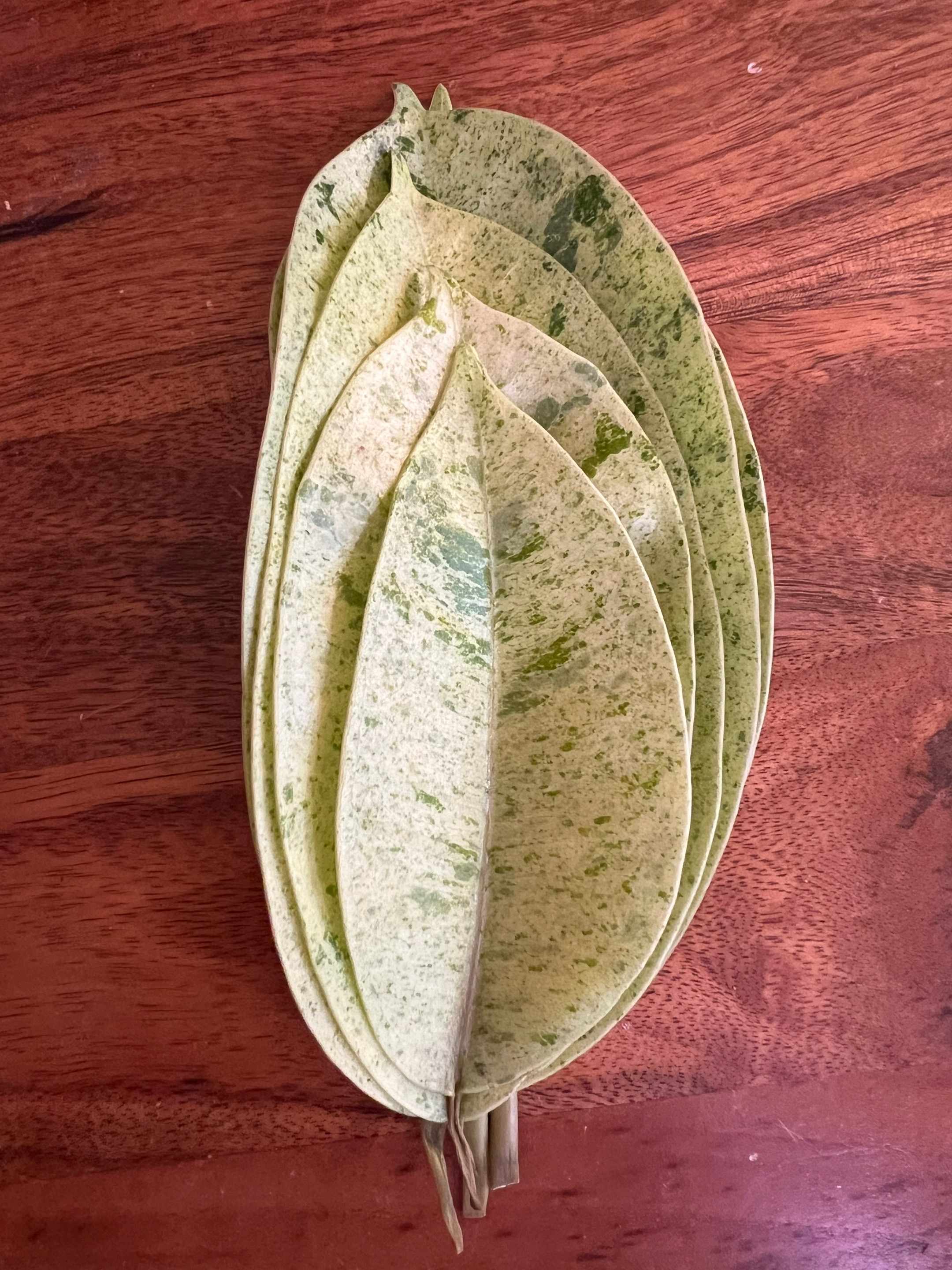 @The_Chlorophylliac