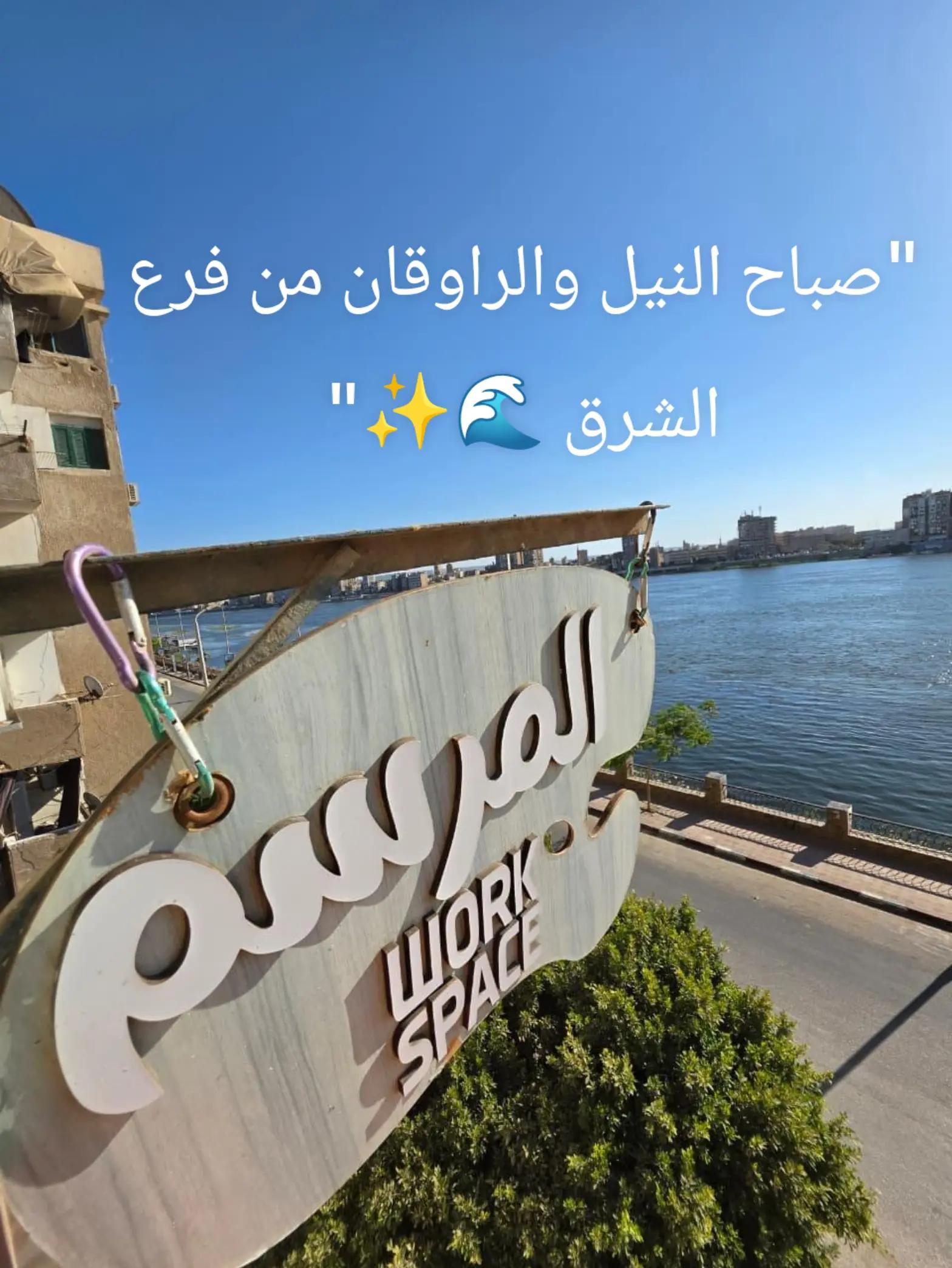@El marsam3603