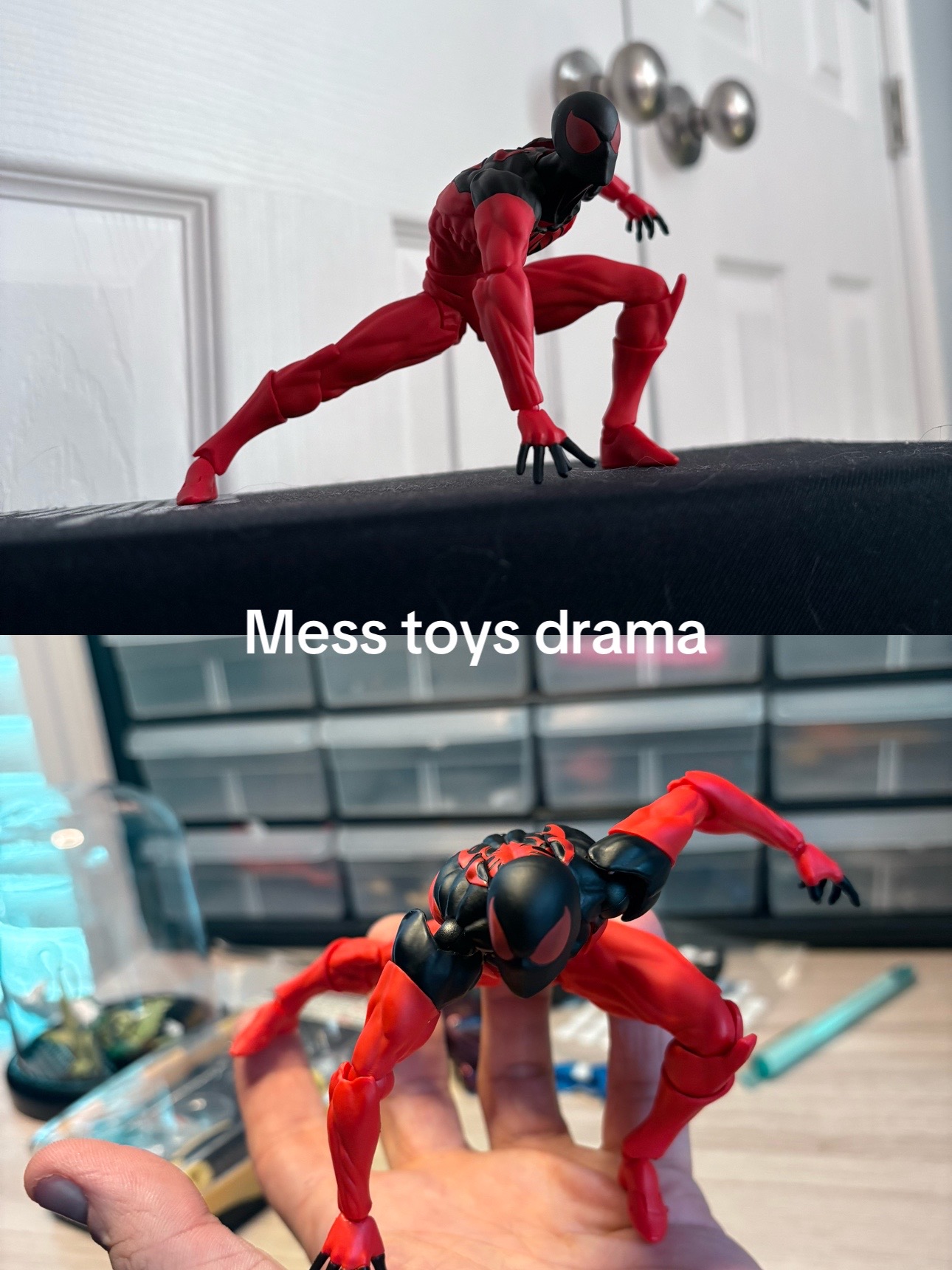@ShewsFigZ