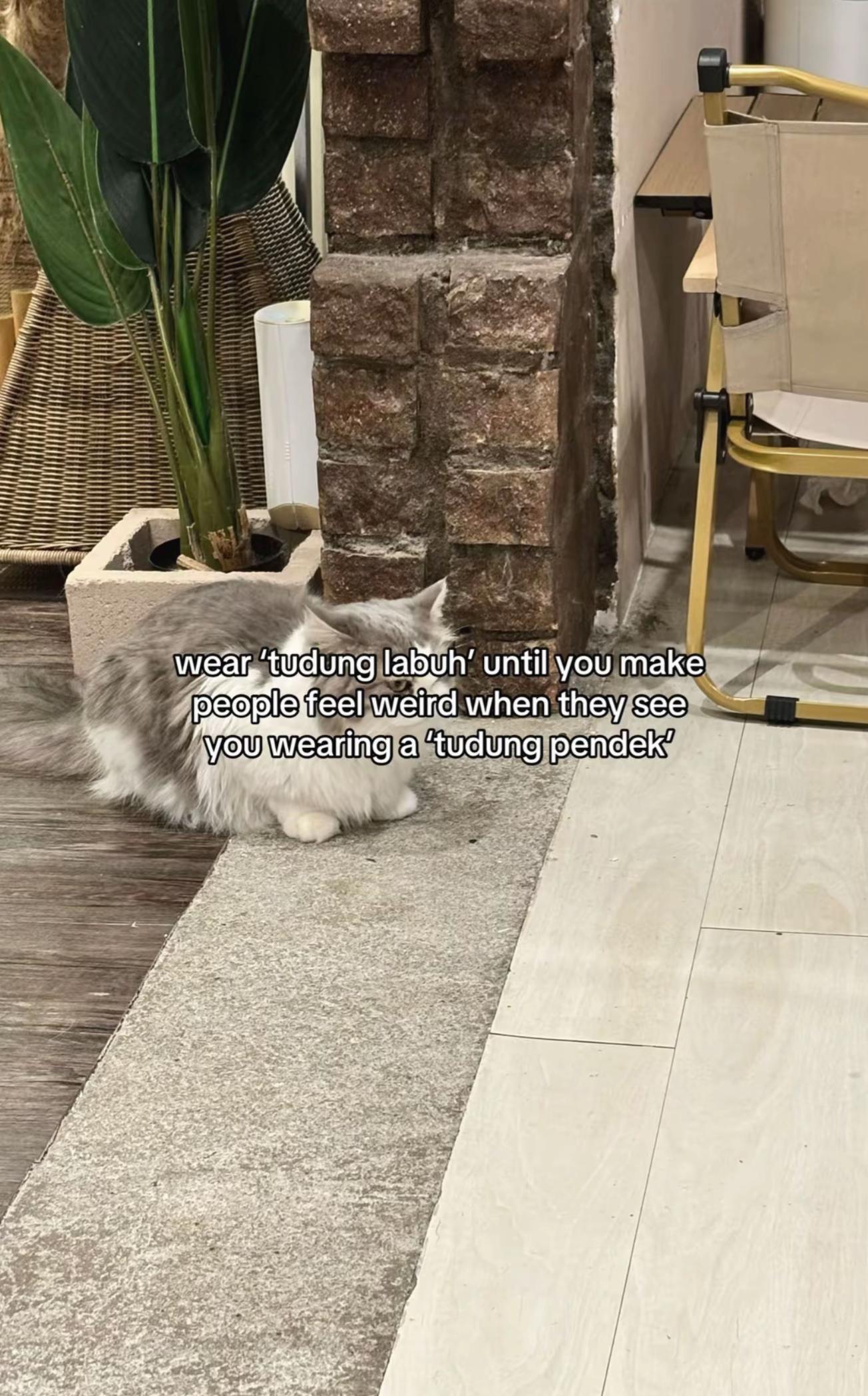 @﮼فى