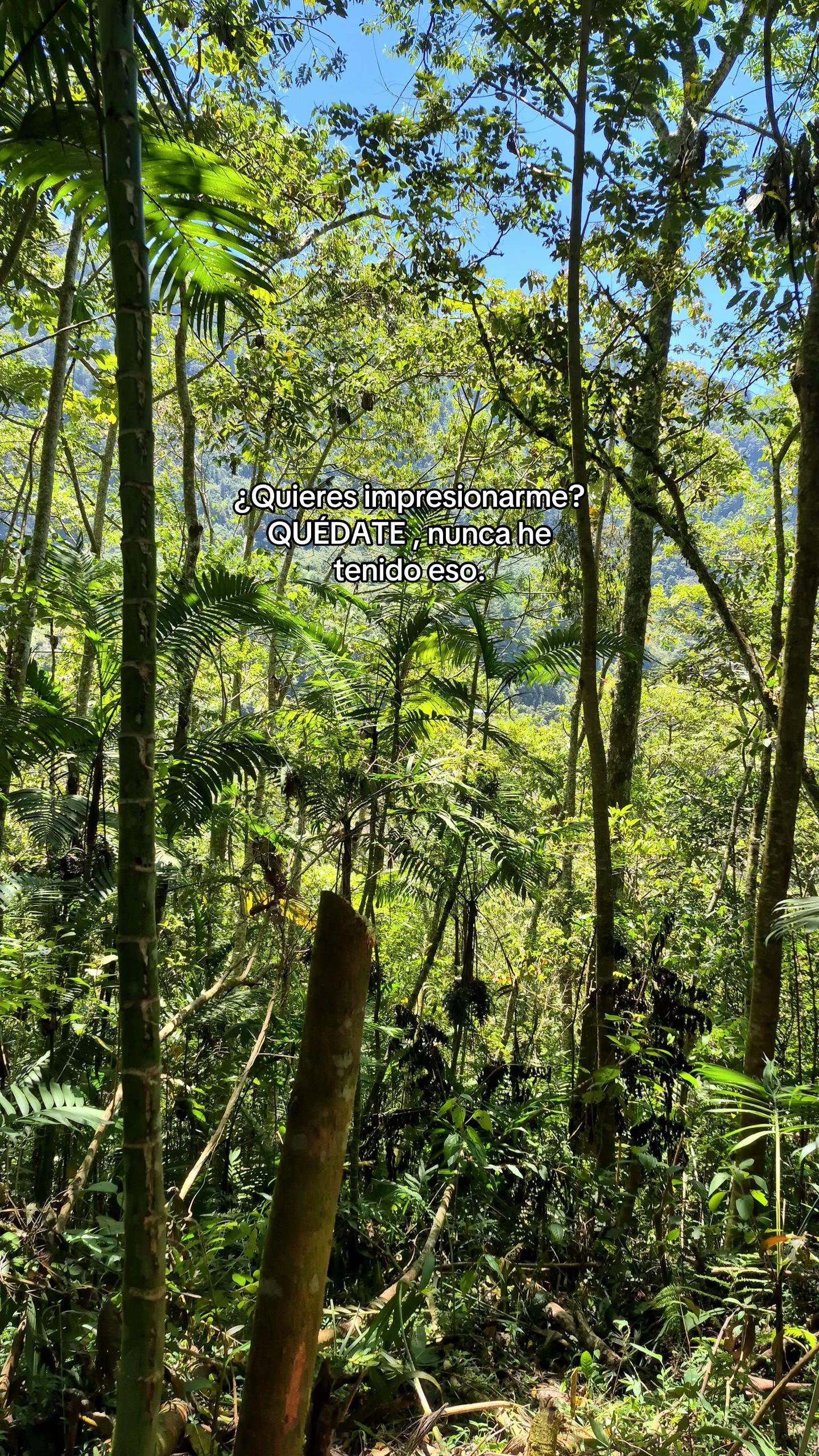 @ℒ𝒶 𝓅𝓁𝒶𝓃𝓉𝒾𝓉𝒶🌱