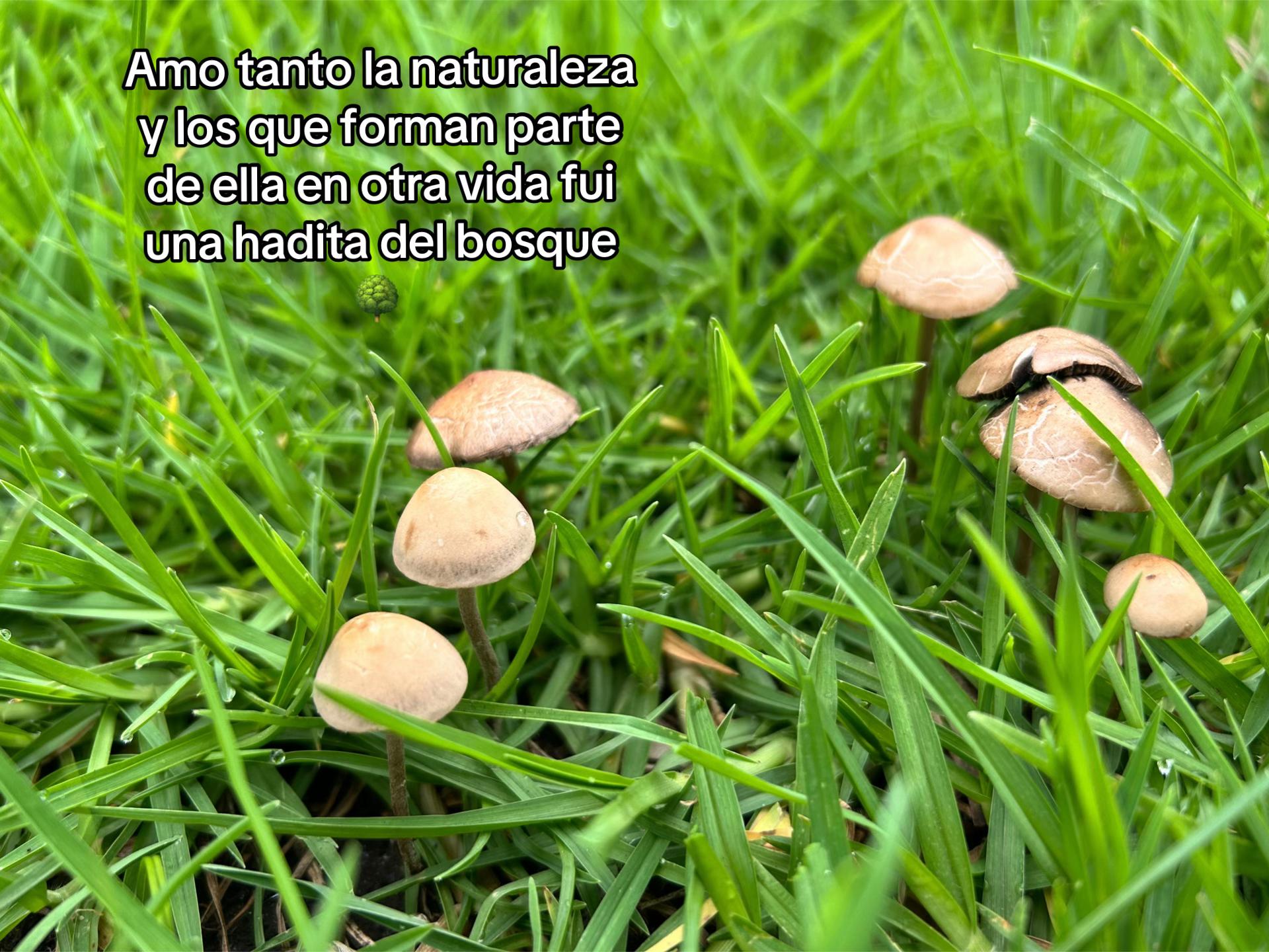 @Ultrasol4