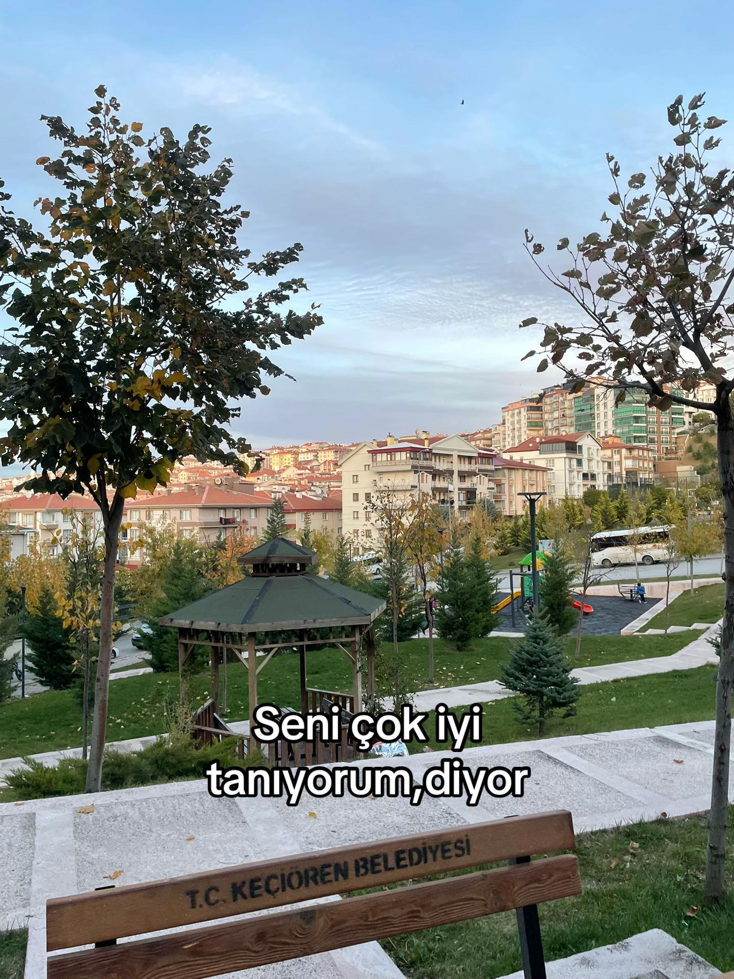 @Dogan