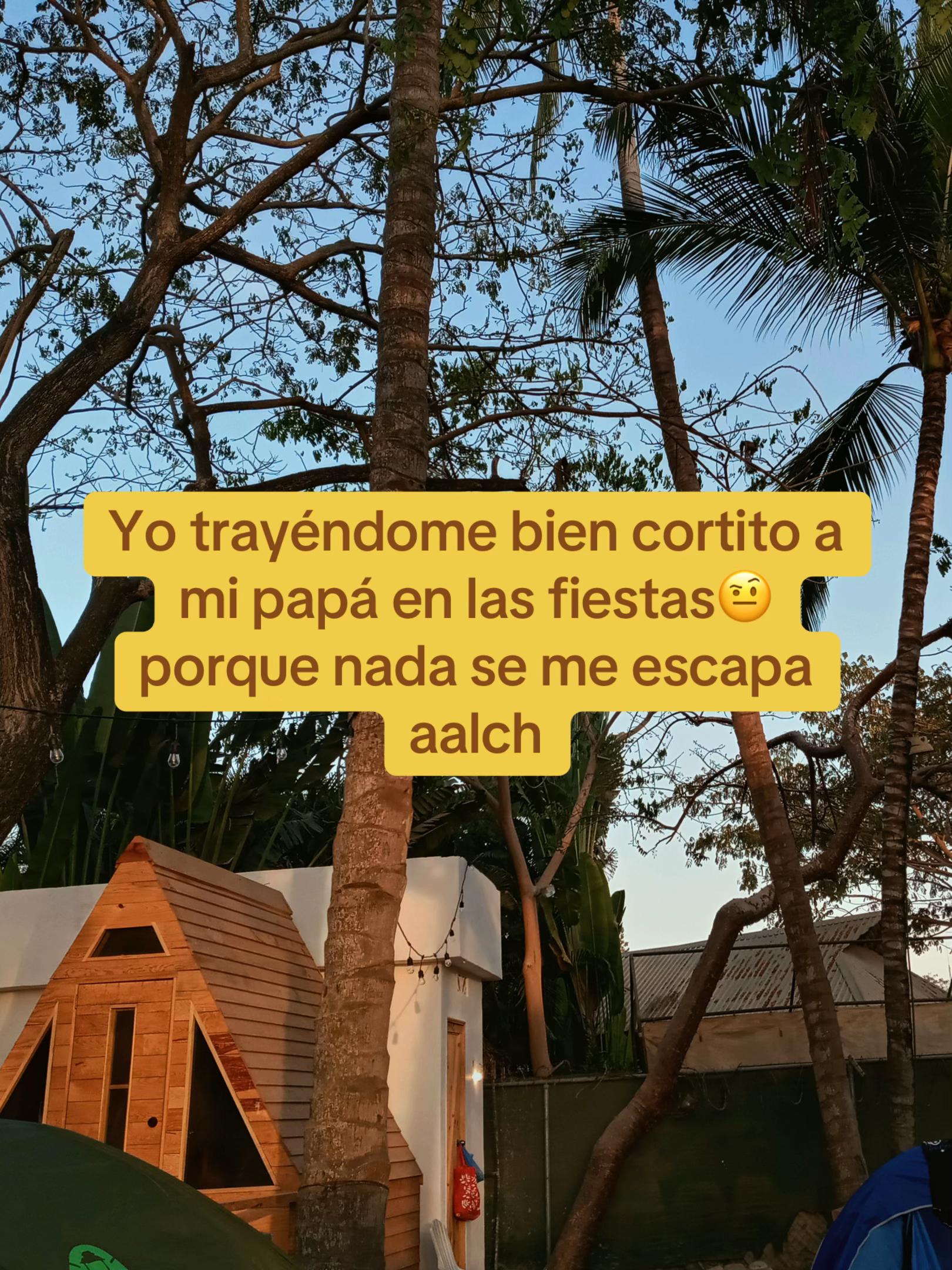 @yan✨