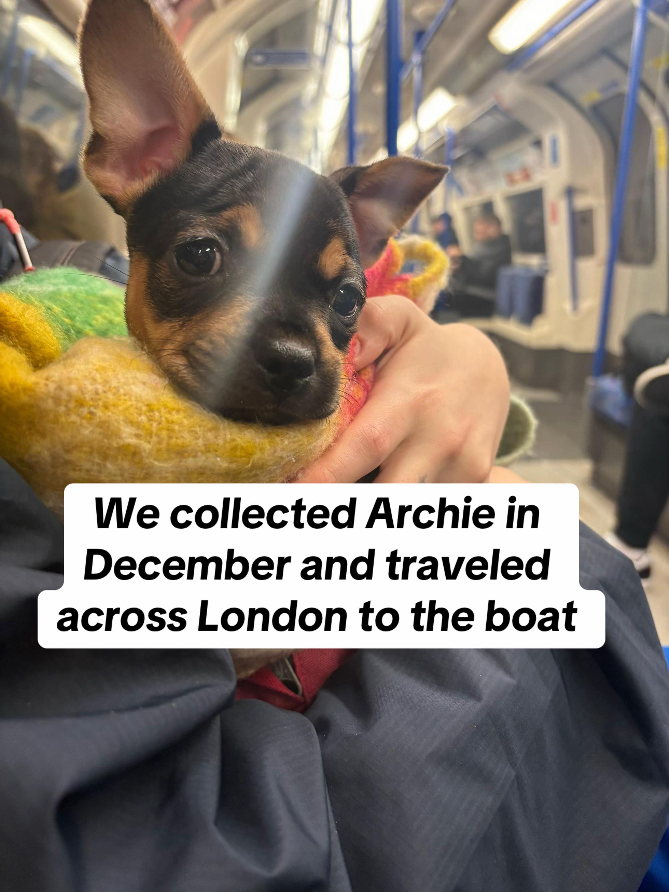 @artistonaboat