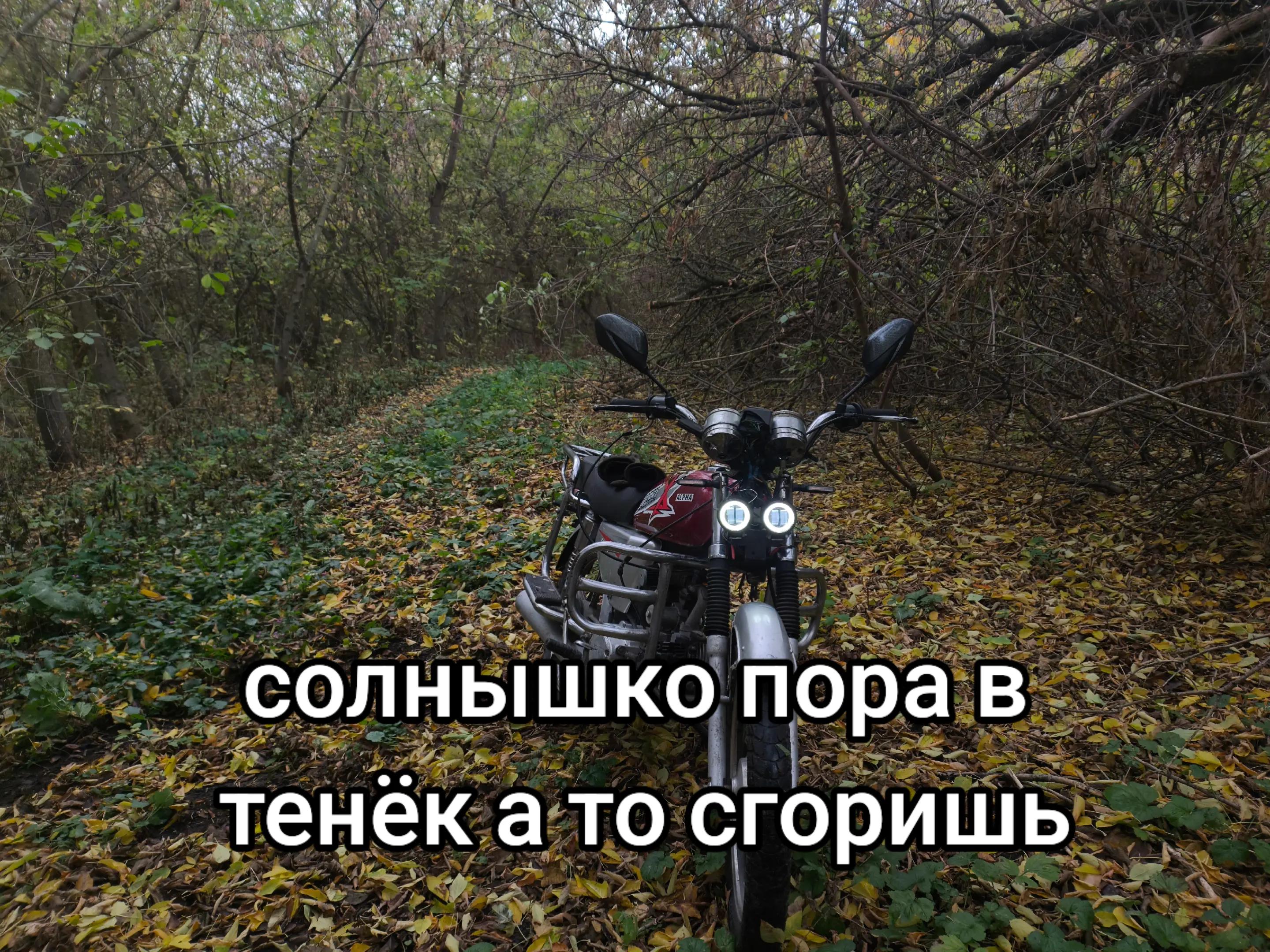 @Pr1xoN