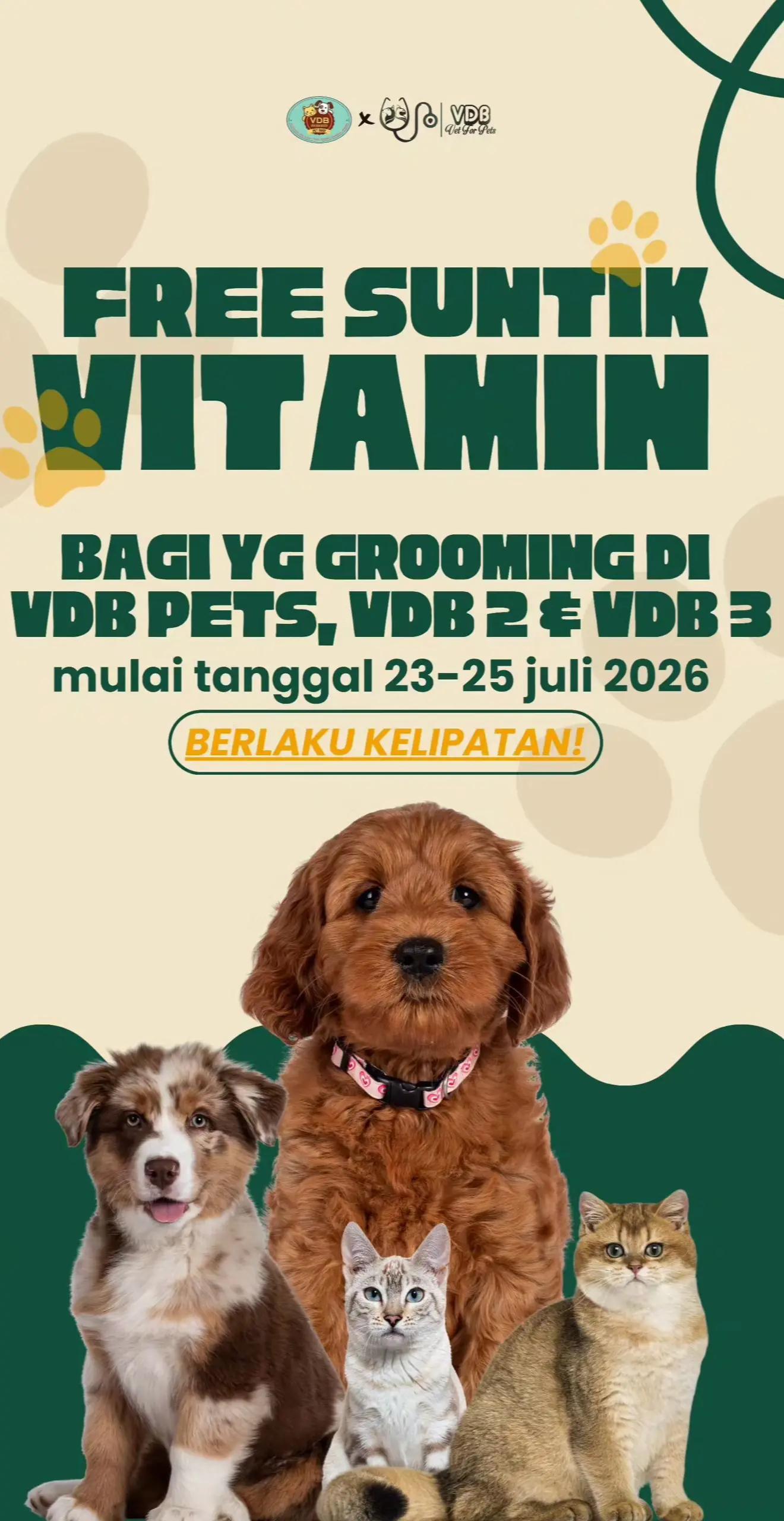@Vdb petshop