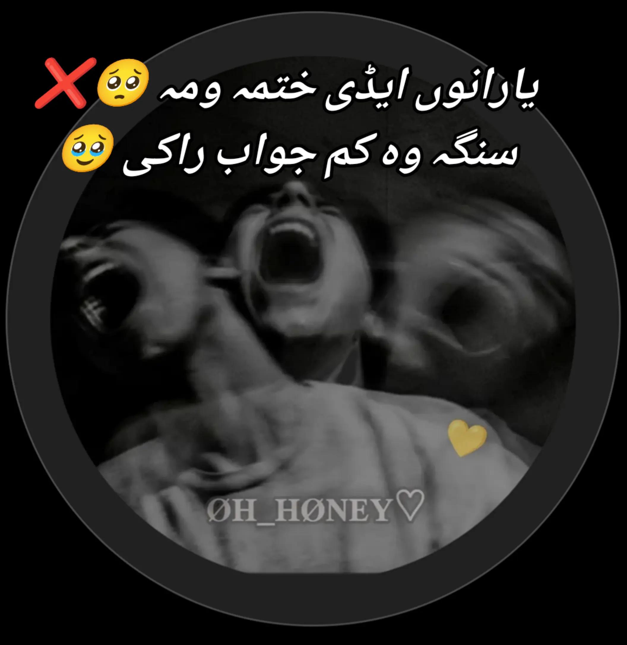 @❣️ ⚜️𝑹𝒌 𝒁𝑨𝑹𝑮𝑼𝑶𝑶⚜️❣️