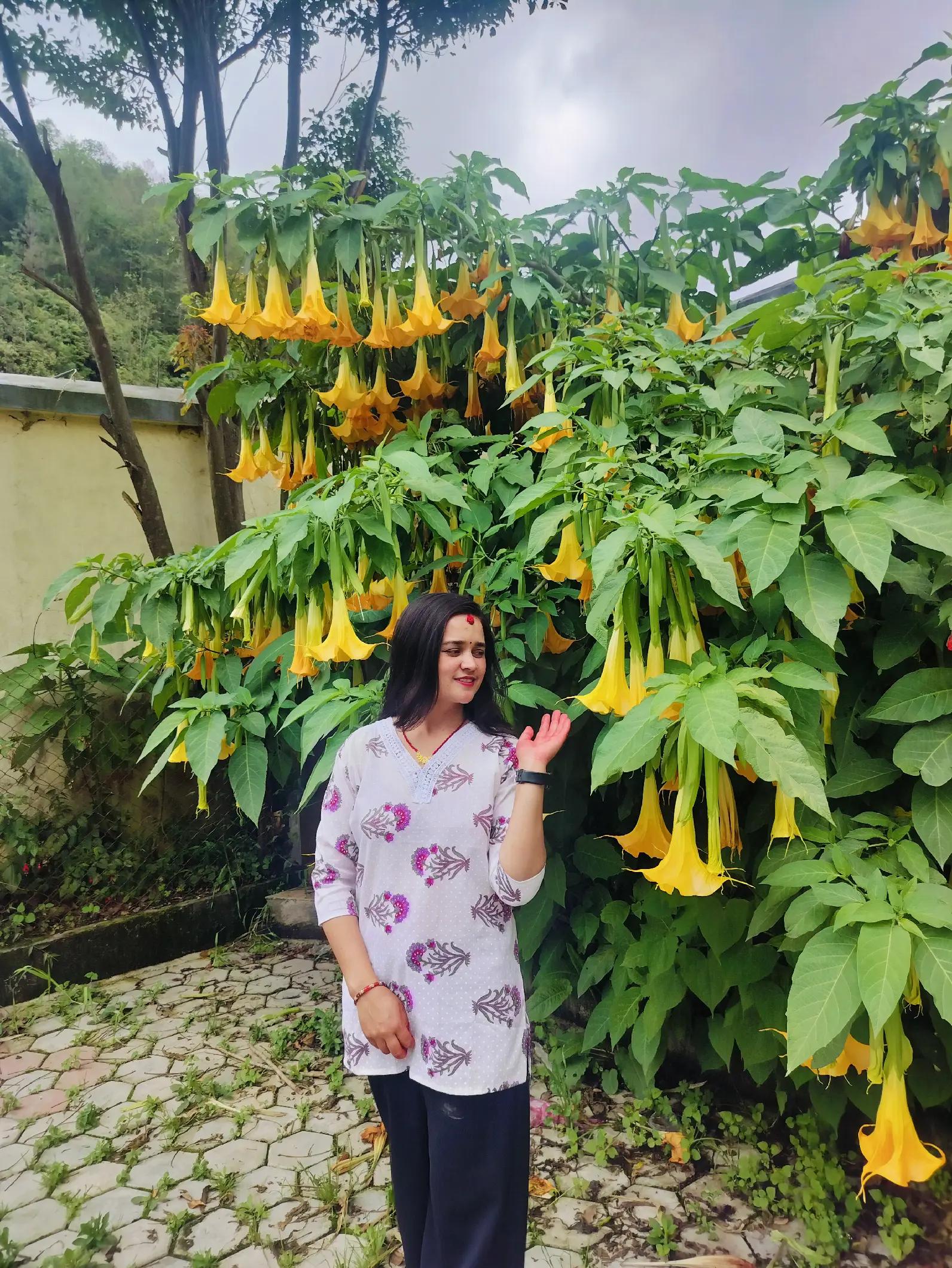 @Sushma Saroj