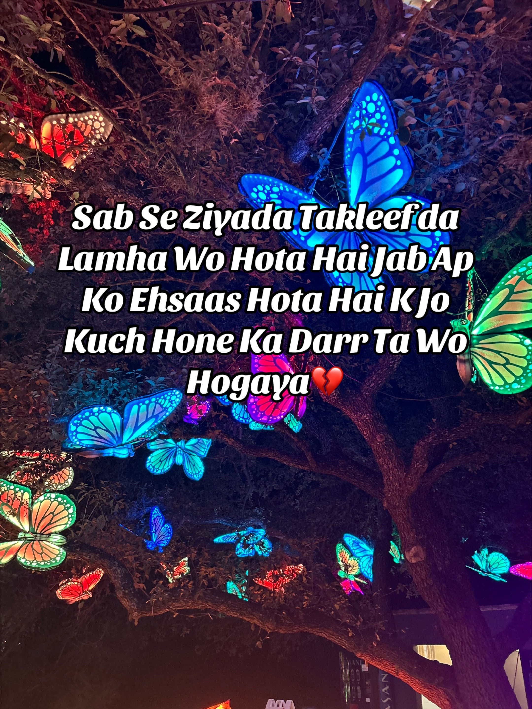 @ZaraHayat020104