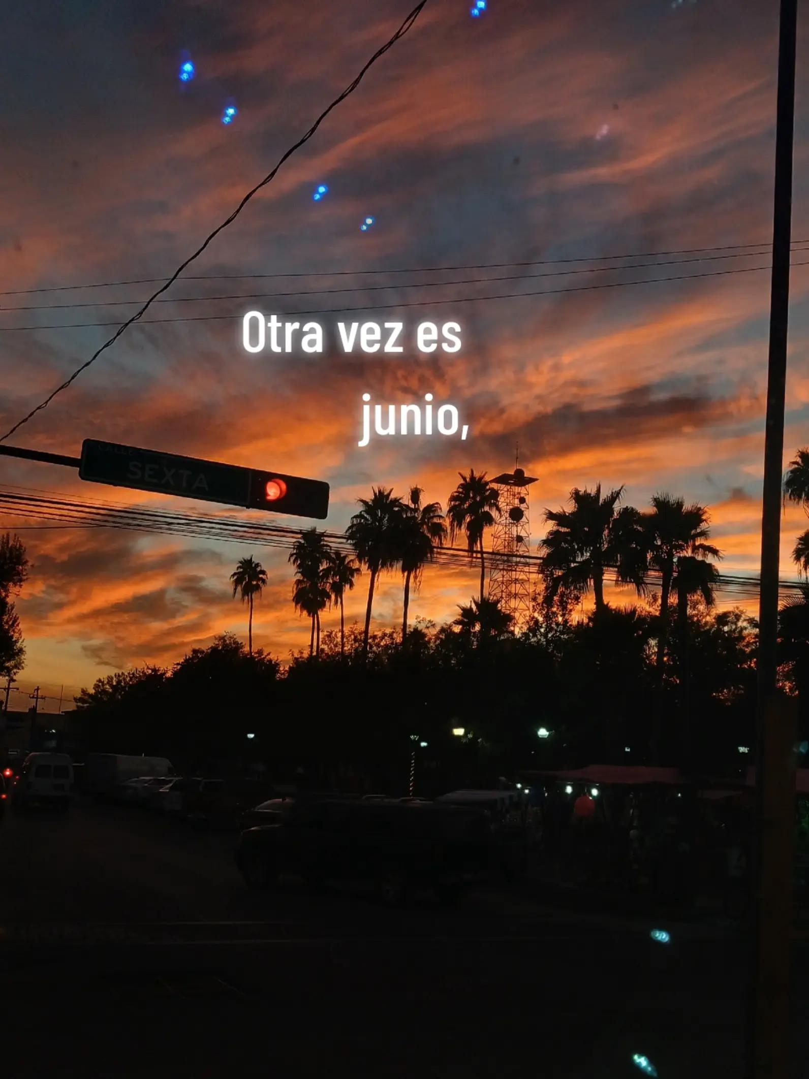@𝑽𝒂𝒏𝒆 ☪