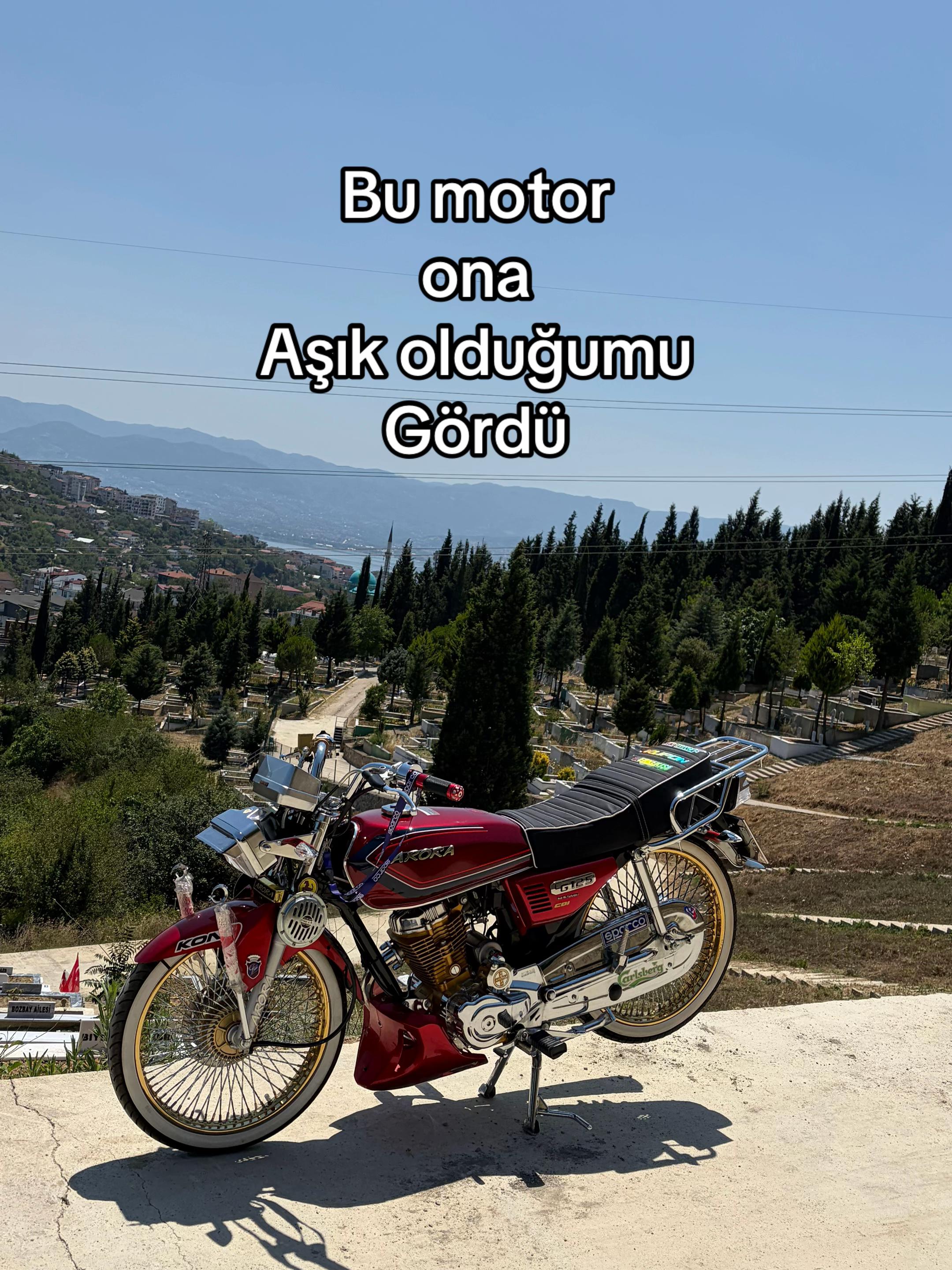 @D.K