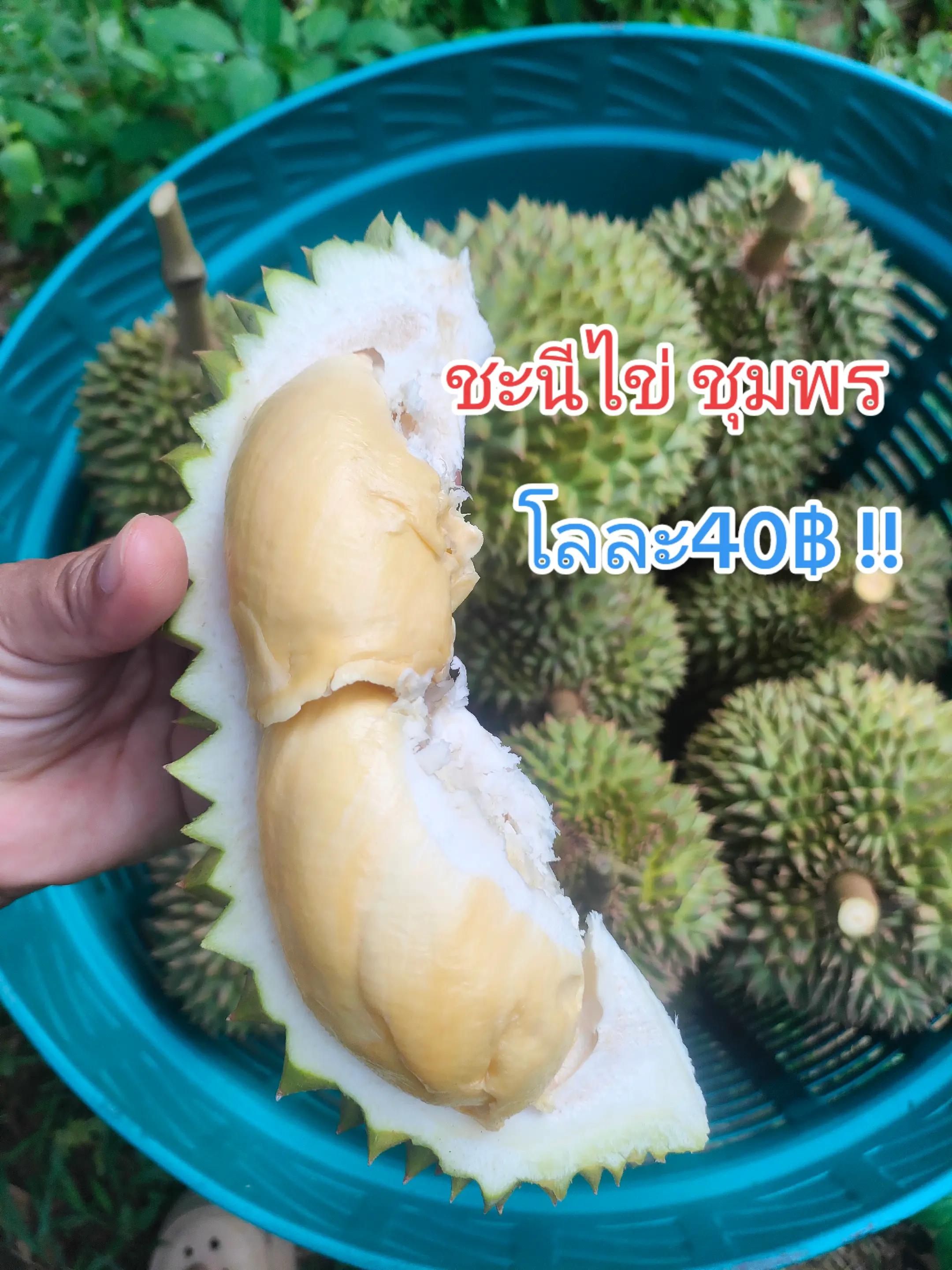 @สุจิตตรา ไชยสงค์