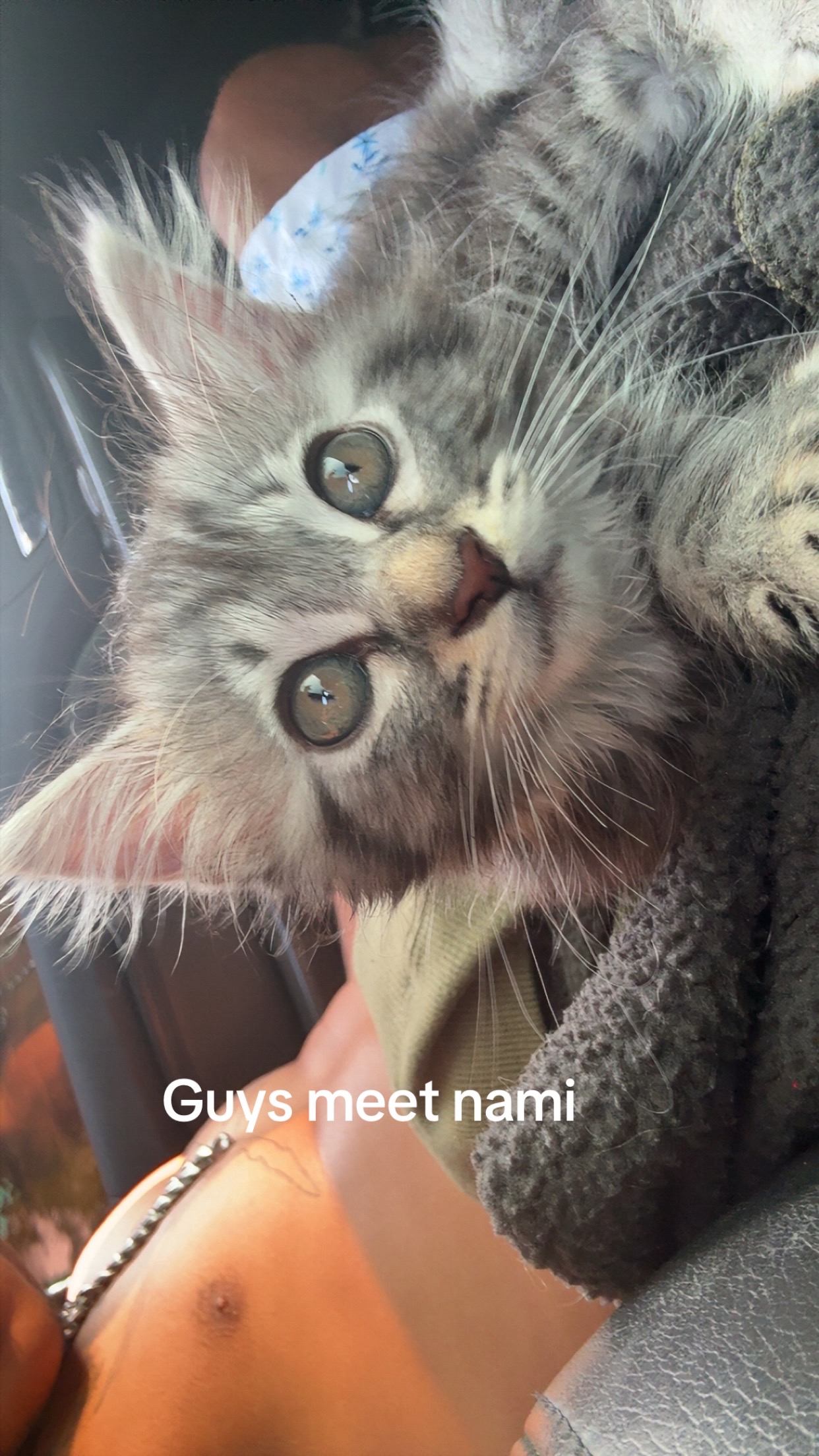 @Alt prince 🧑🏽🦽➡️