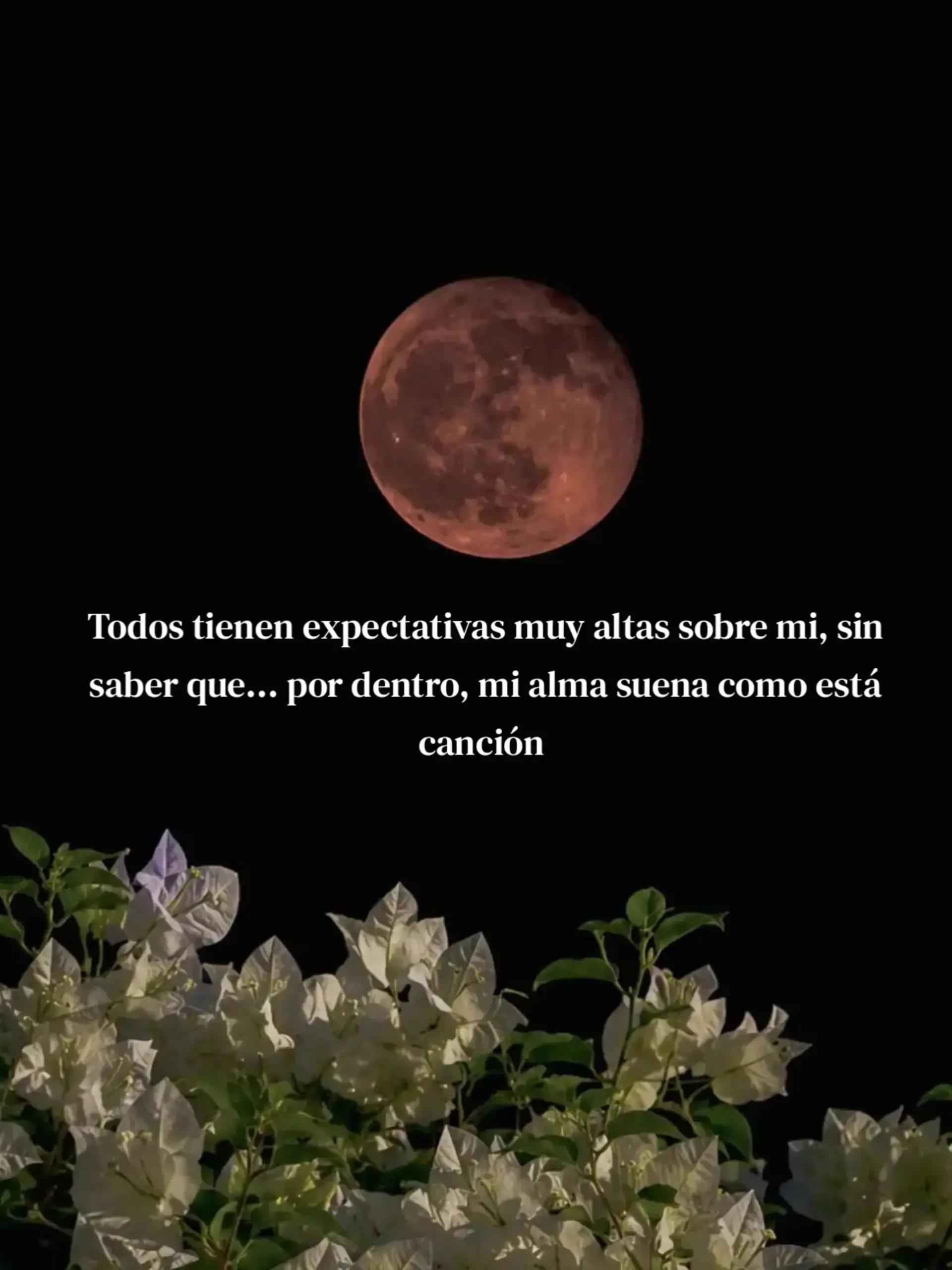 @◦●Proyecto Army●◦