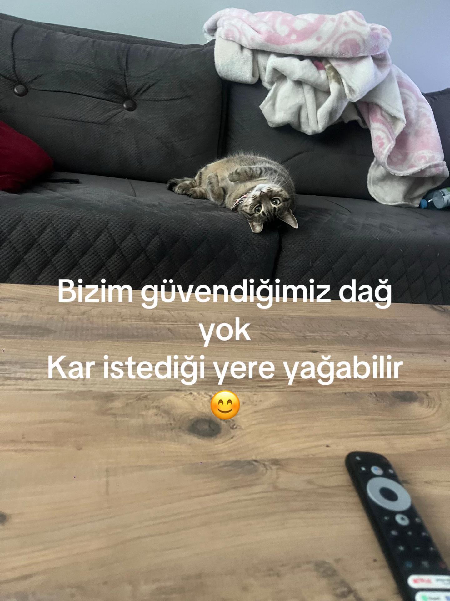 @Yulaf&hearts;️