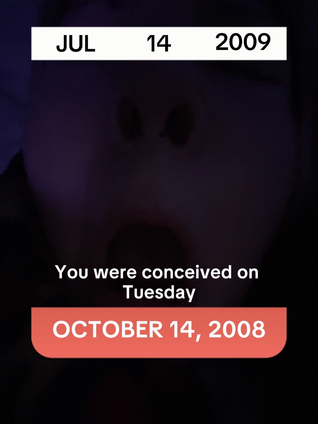 @mira