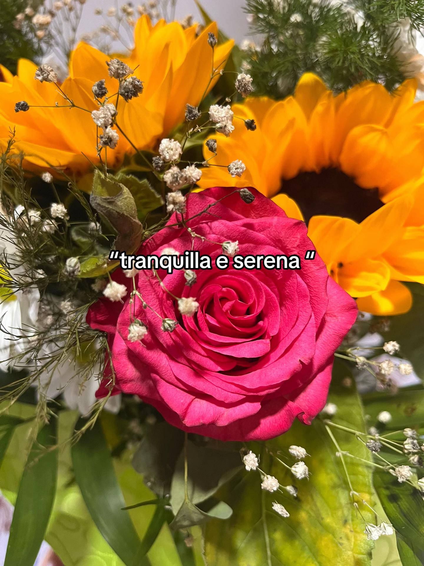 @elisa🥀✨️