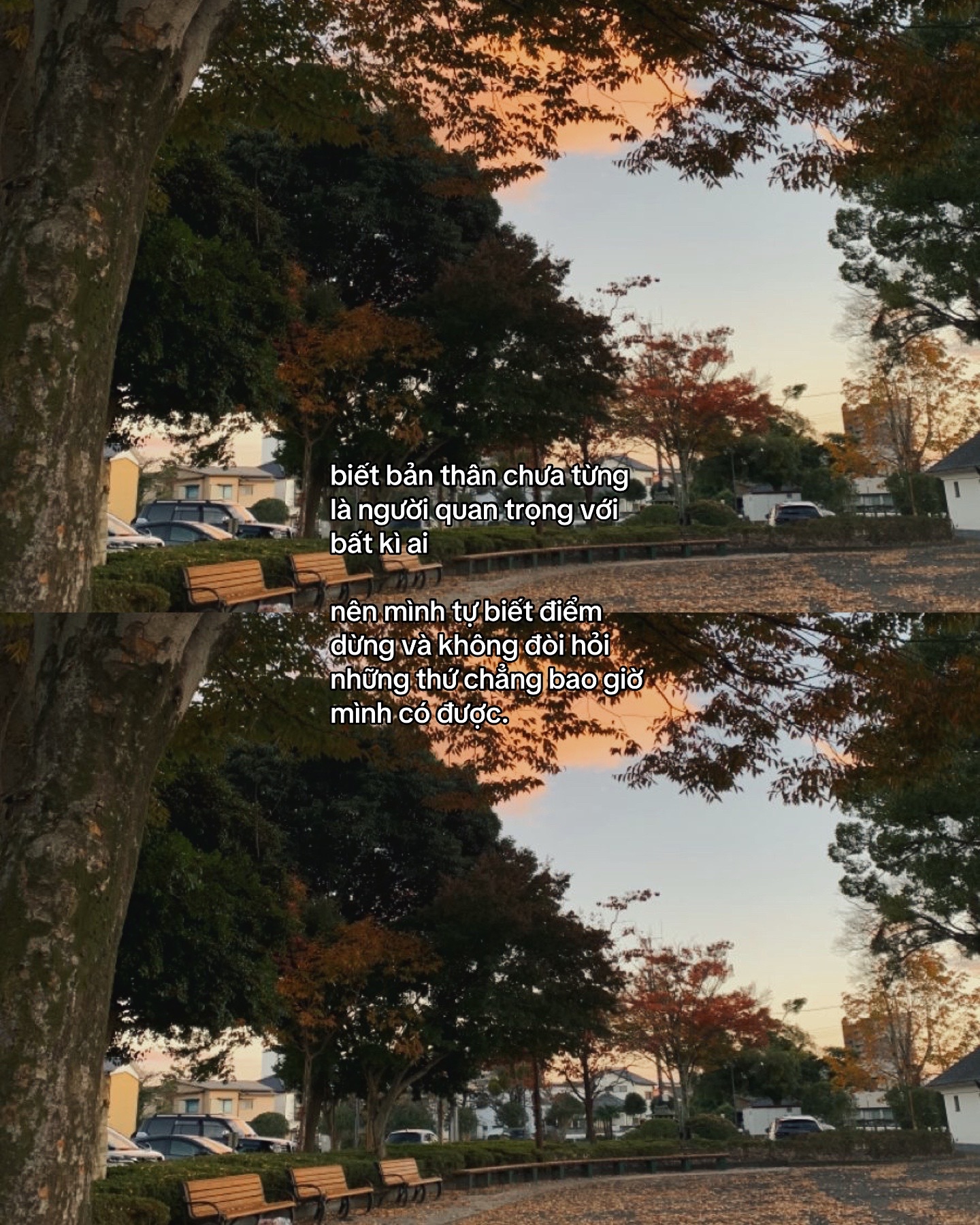 @𝙉