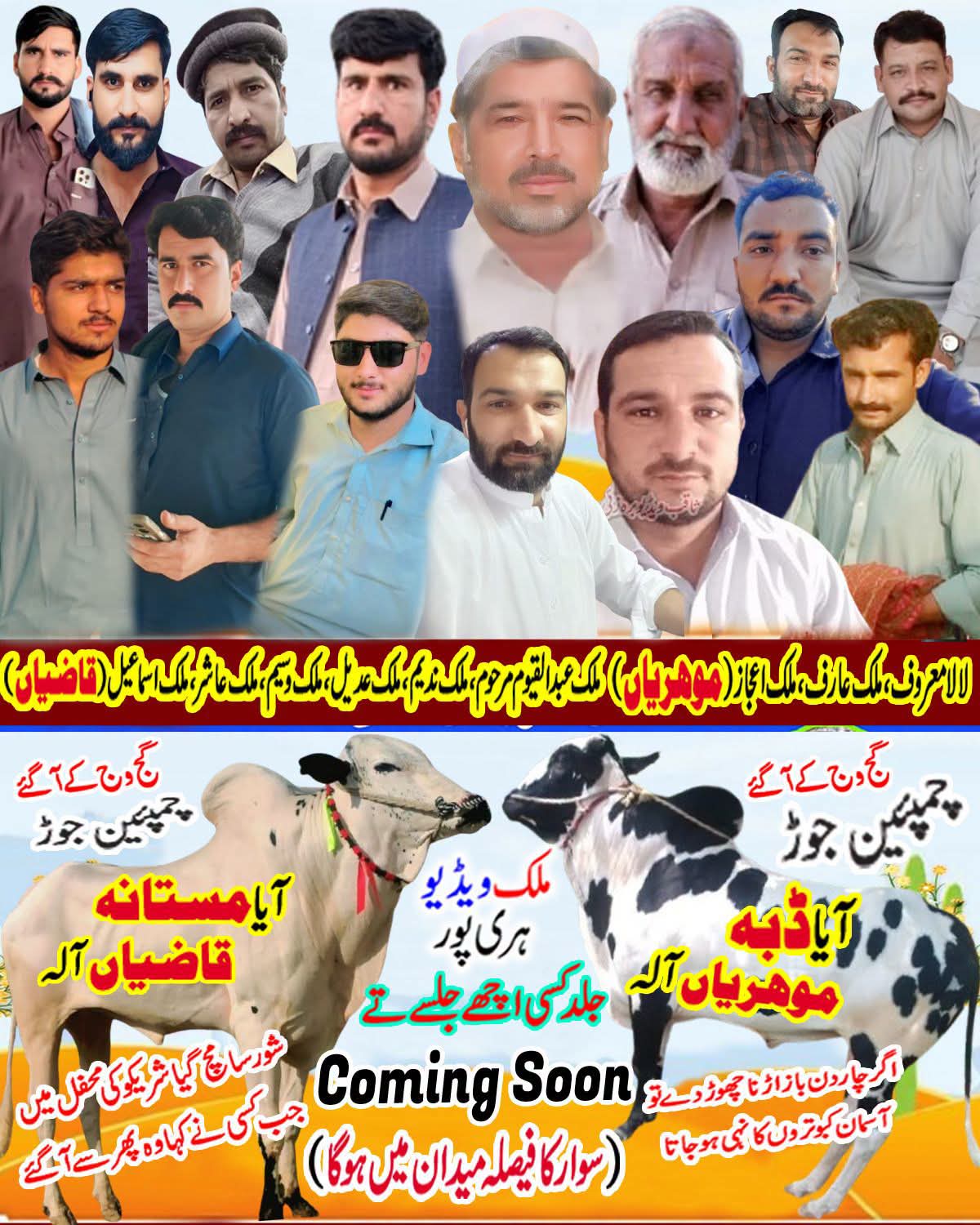 @Malik Ismail 5