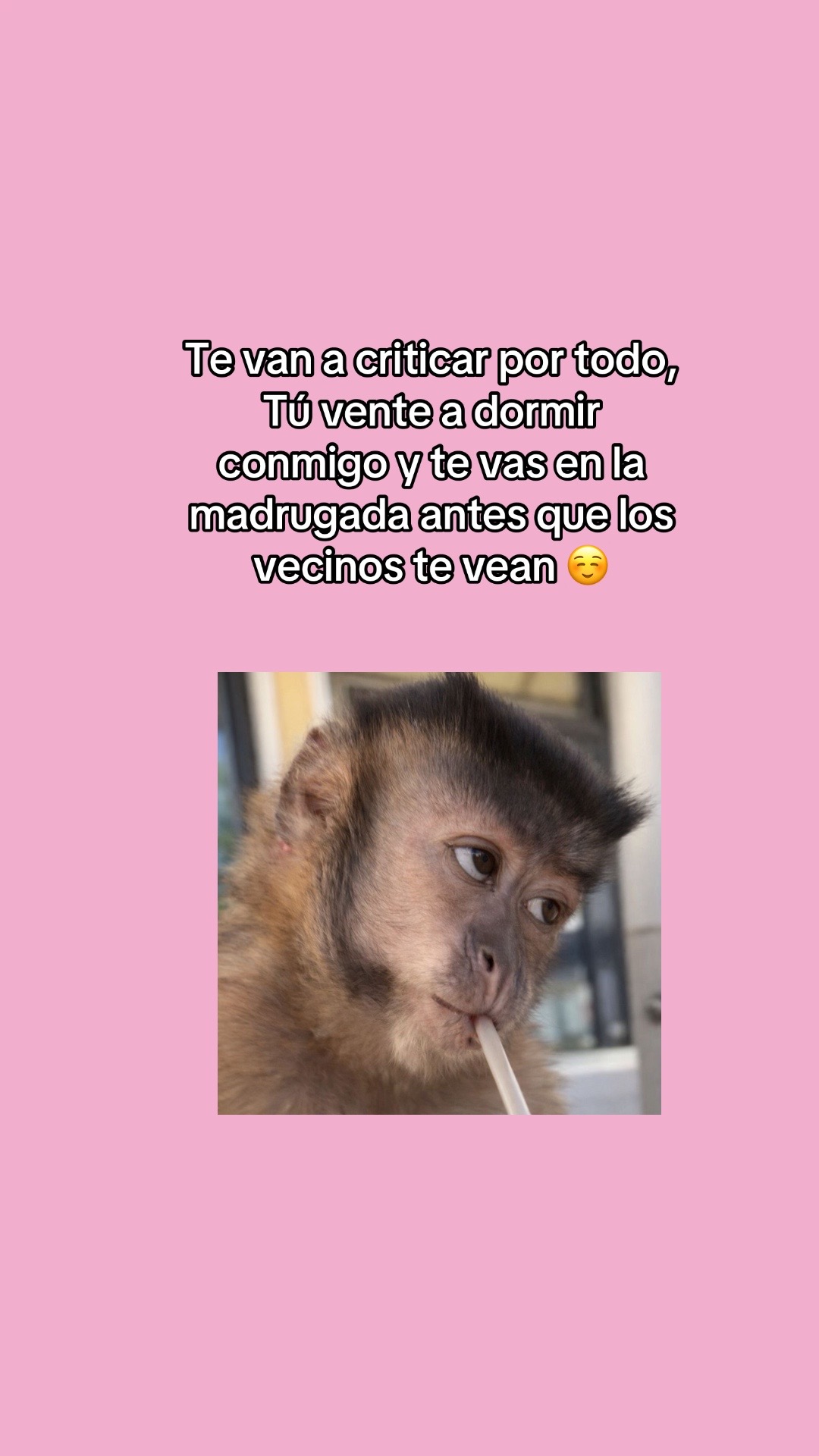 @💜🇭🇳🍫Chocolatito🍫🇭🇳💜