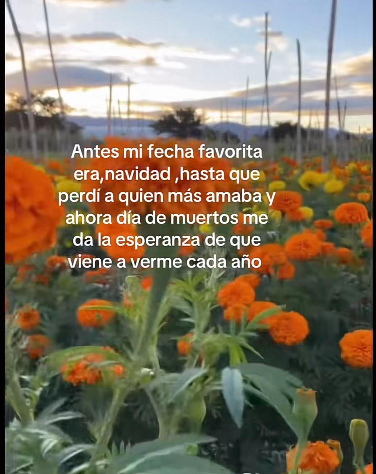 @nancy.lu.mexico. CDT