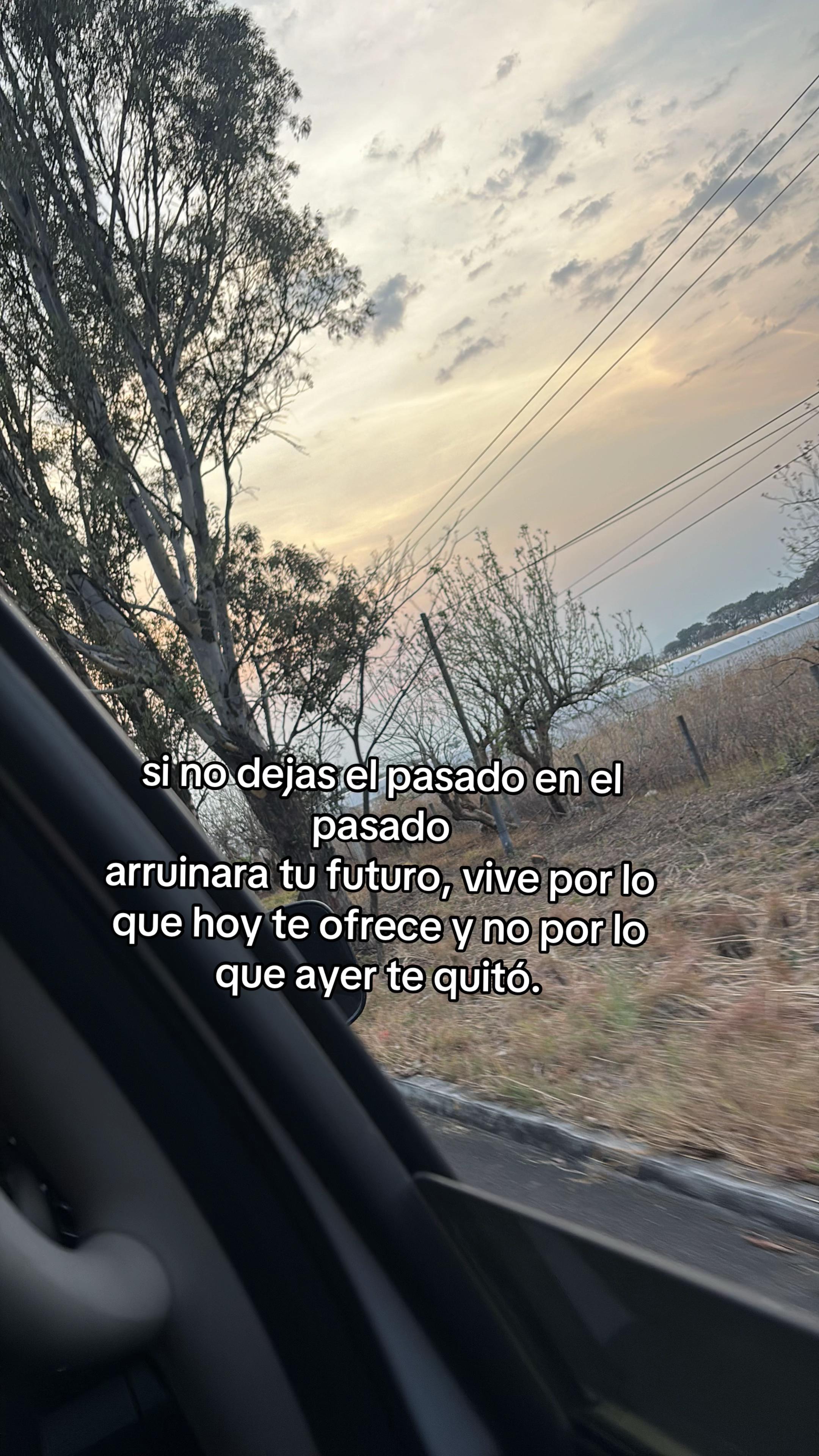 @Lizeth Rodriguez Martinez