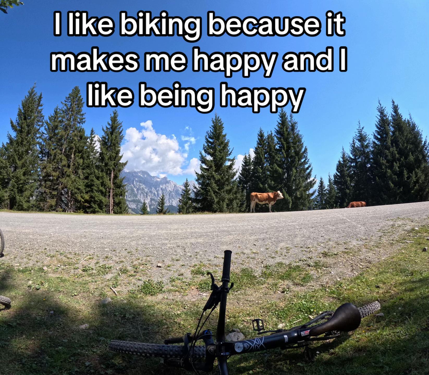 @๐๏ธโ๏ธ Ned_on_commencal โ๏ธ๐๏ธ
