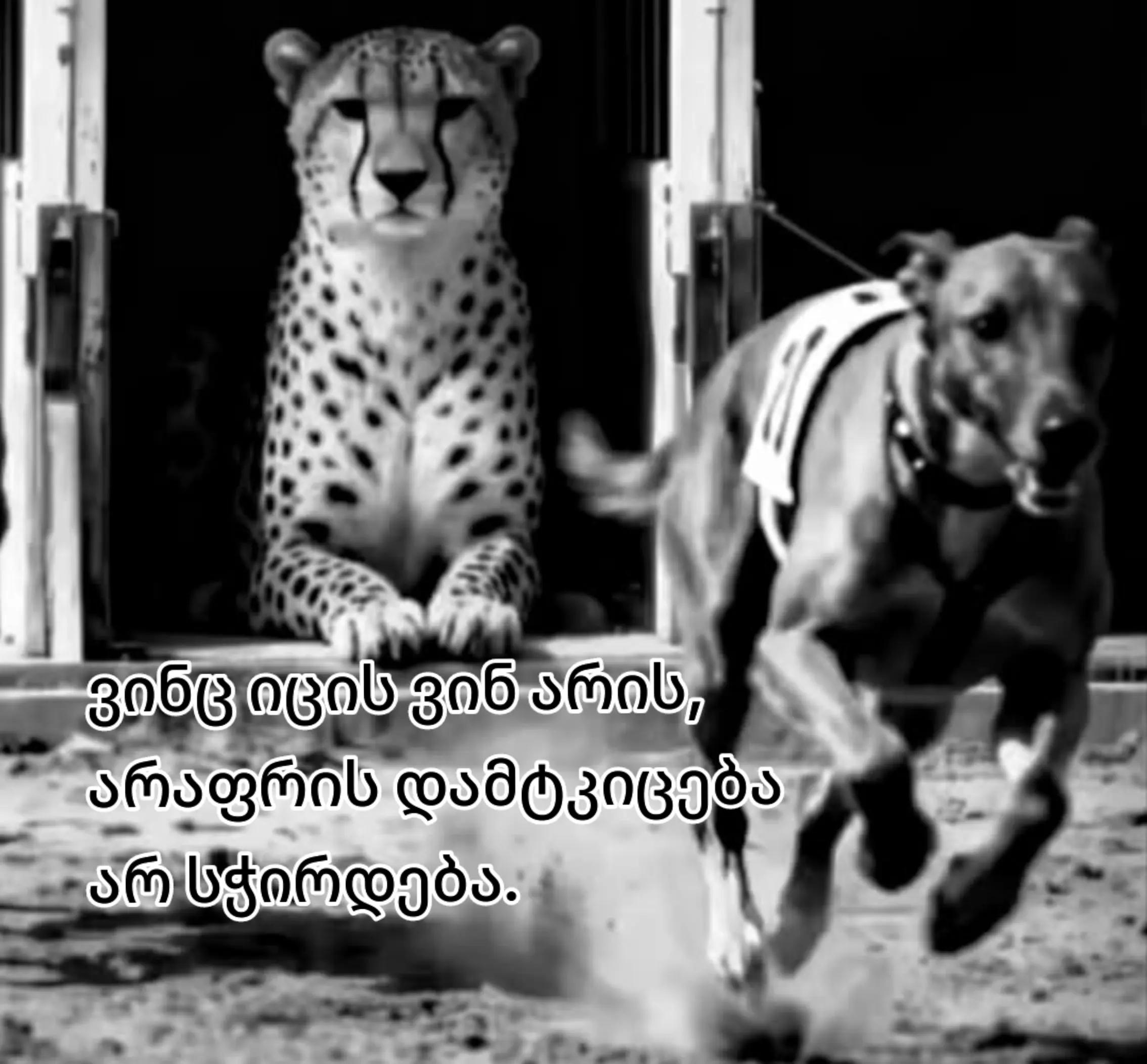 @Shako ๐ฌ๐ช๐ค๐ฉ๐ช