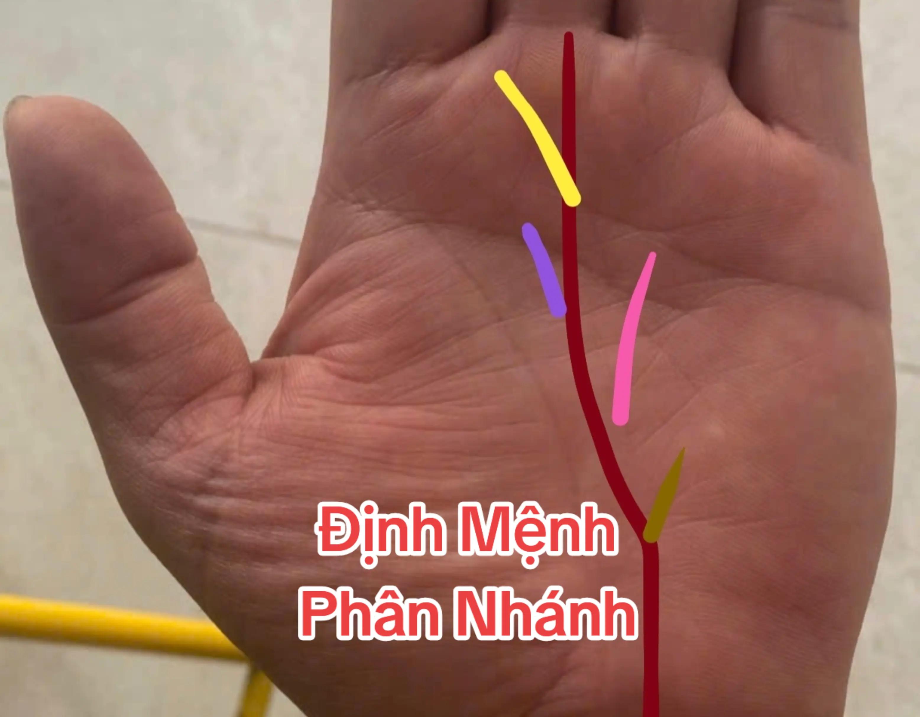 @Nh&acirc;n Tướng Sửa M&igrave;nh (Đỗ L&acirc;m)