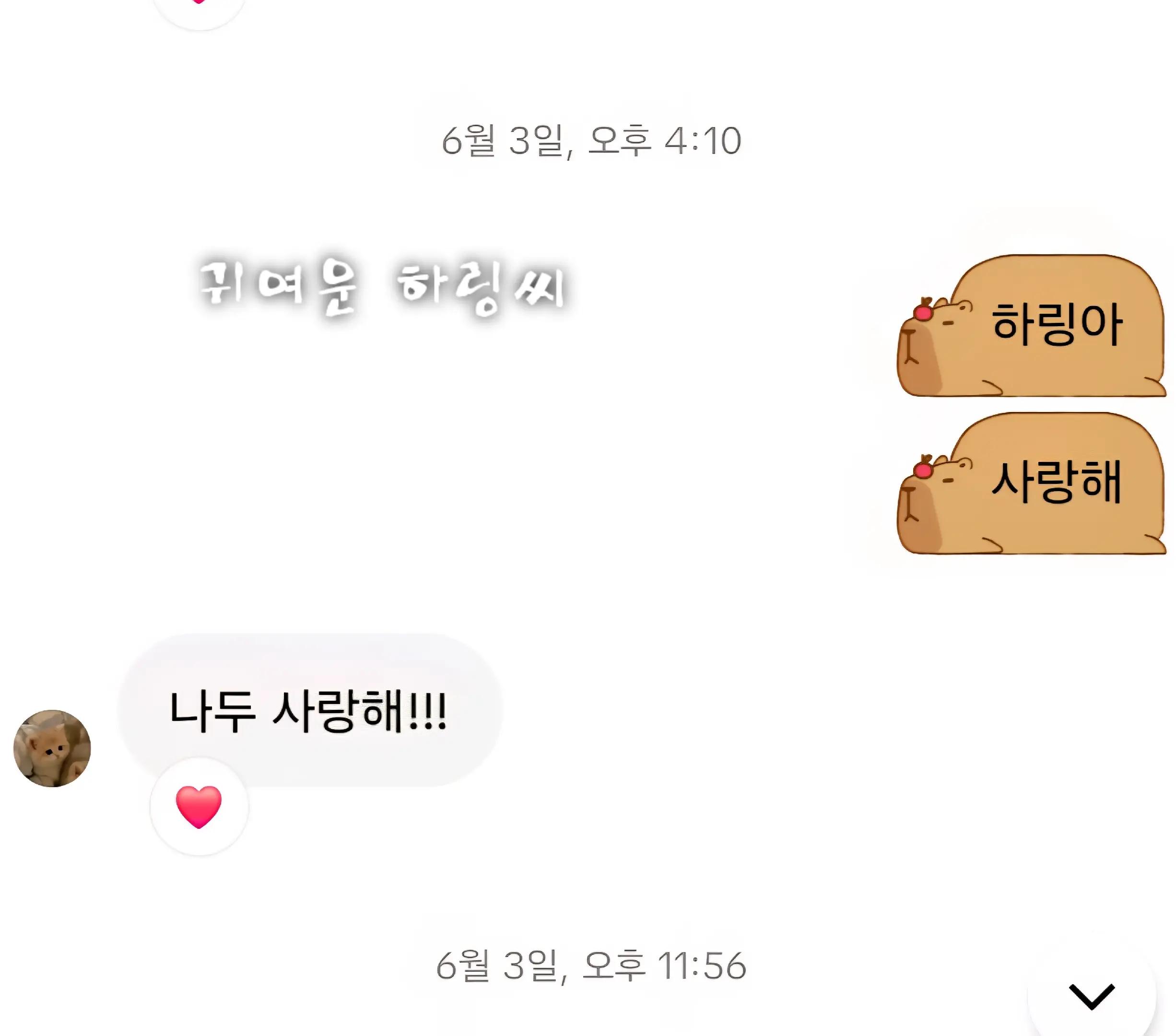 @딸기공쥬