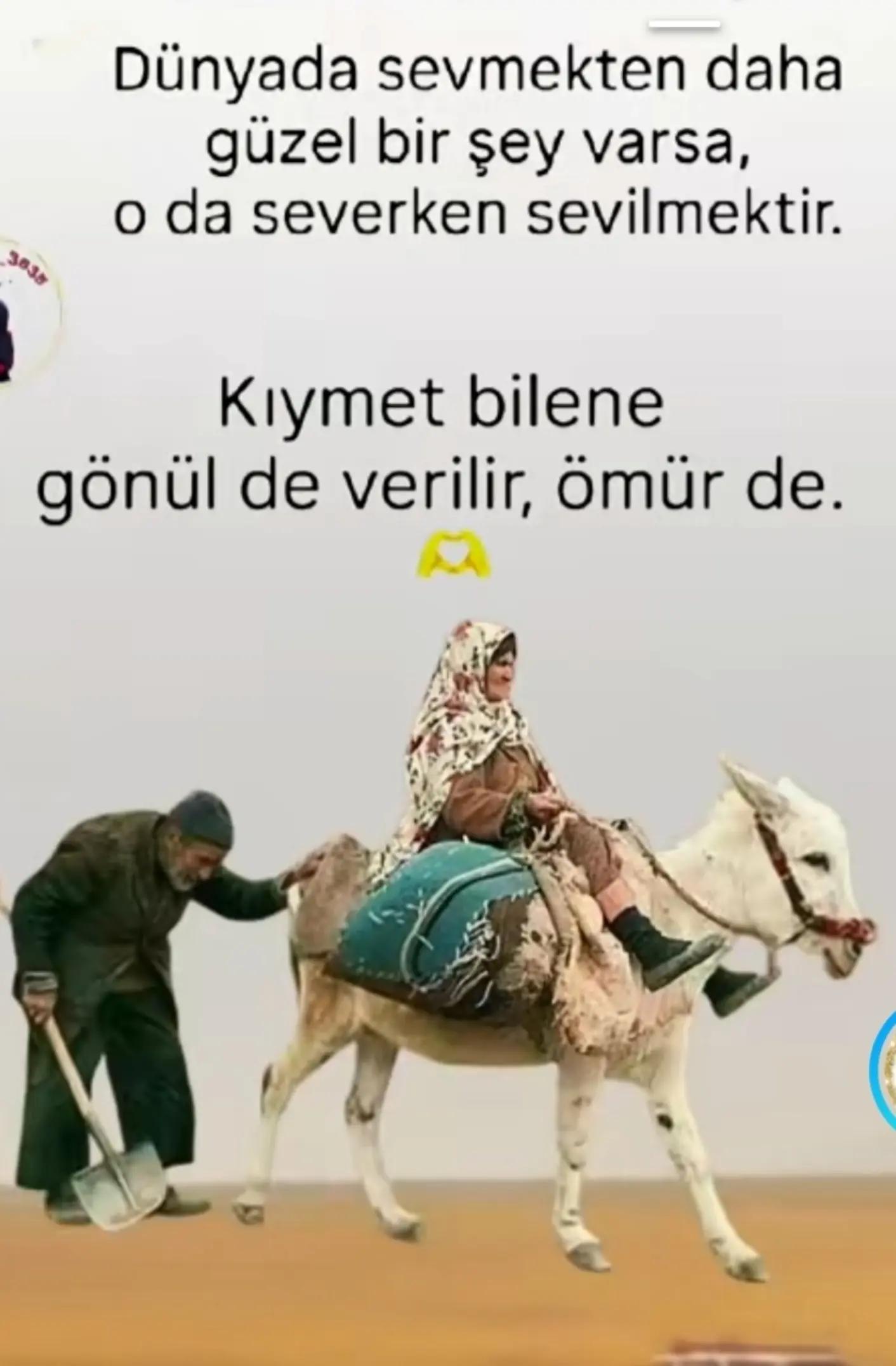@mhmt