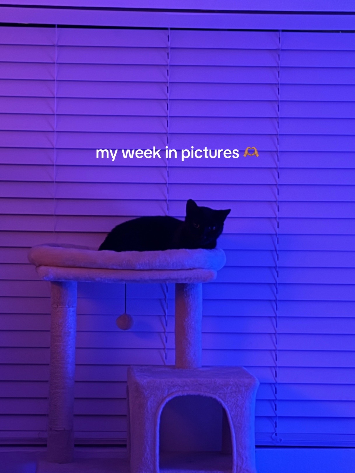 @Dinonuggzz