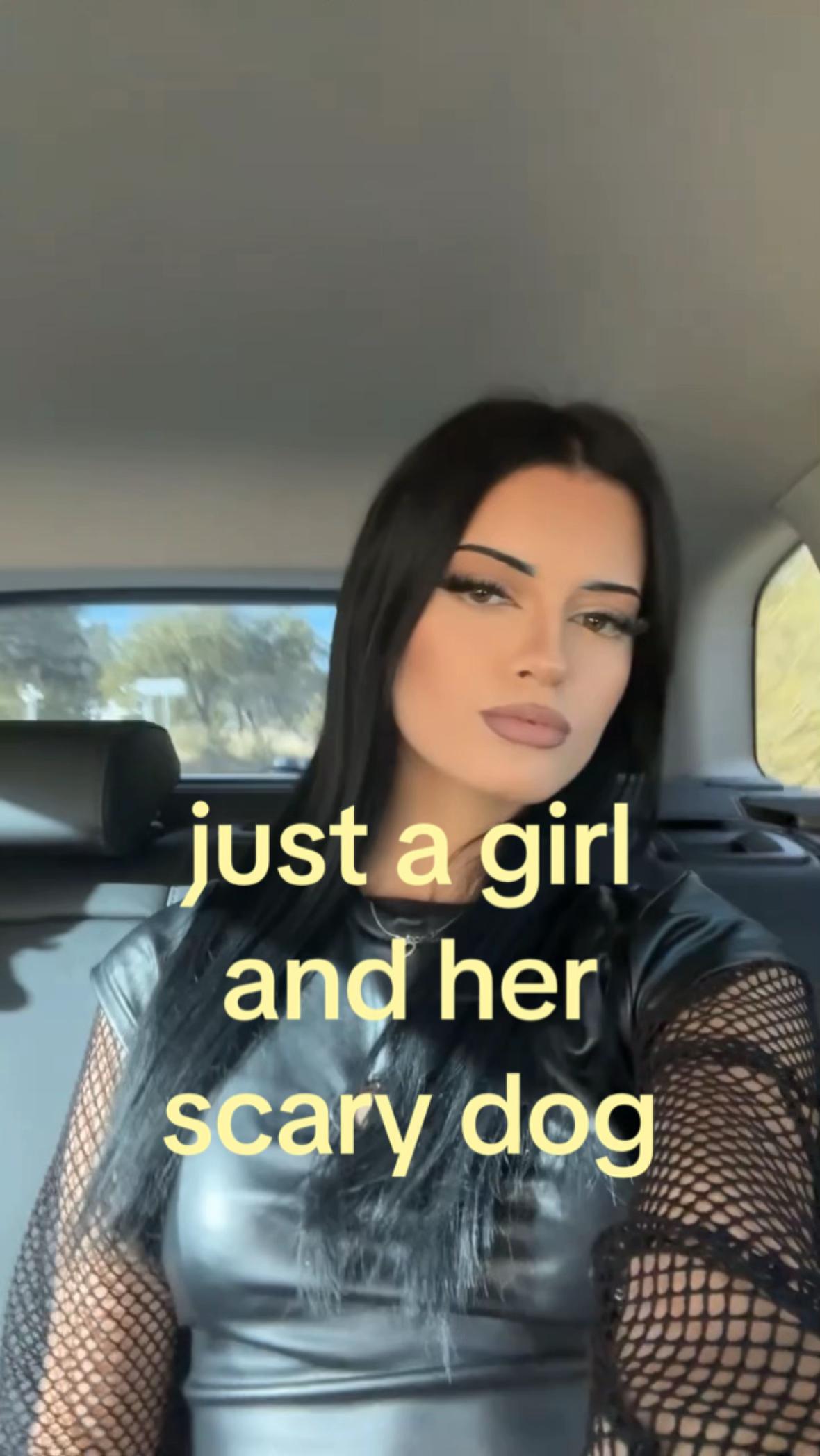 @🕷️🕸️
